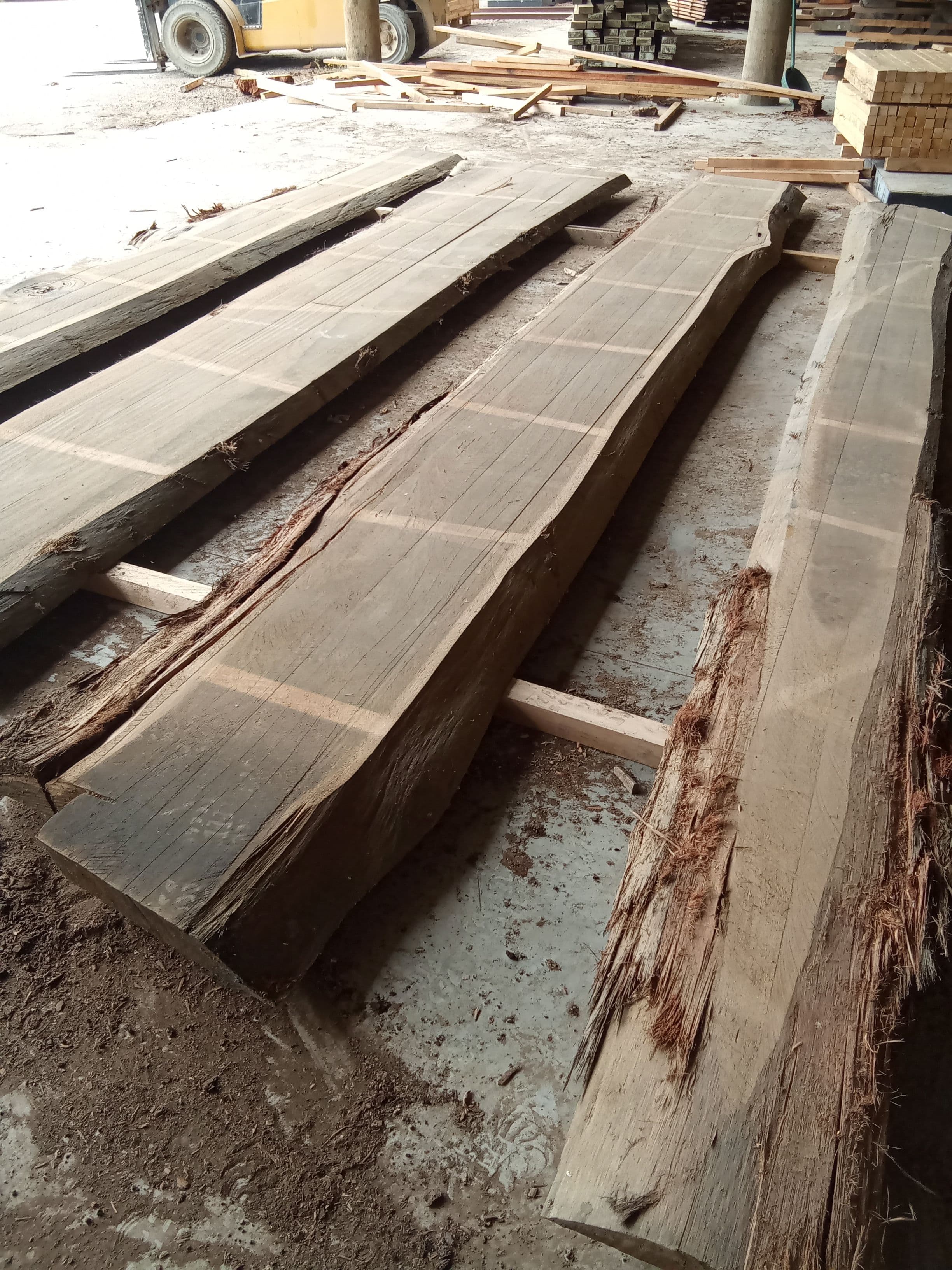 Blackbutt Eucalyptus Slab #9 view 1