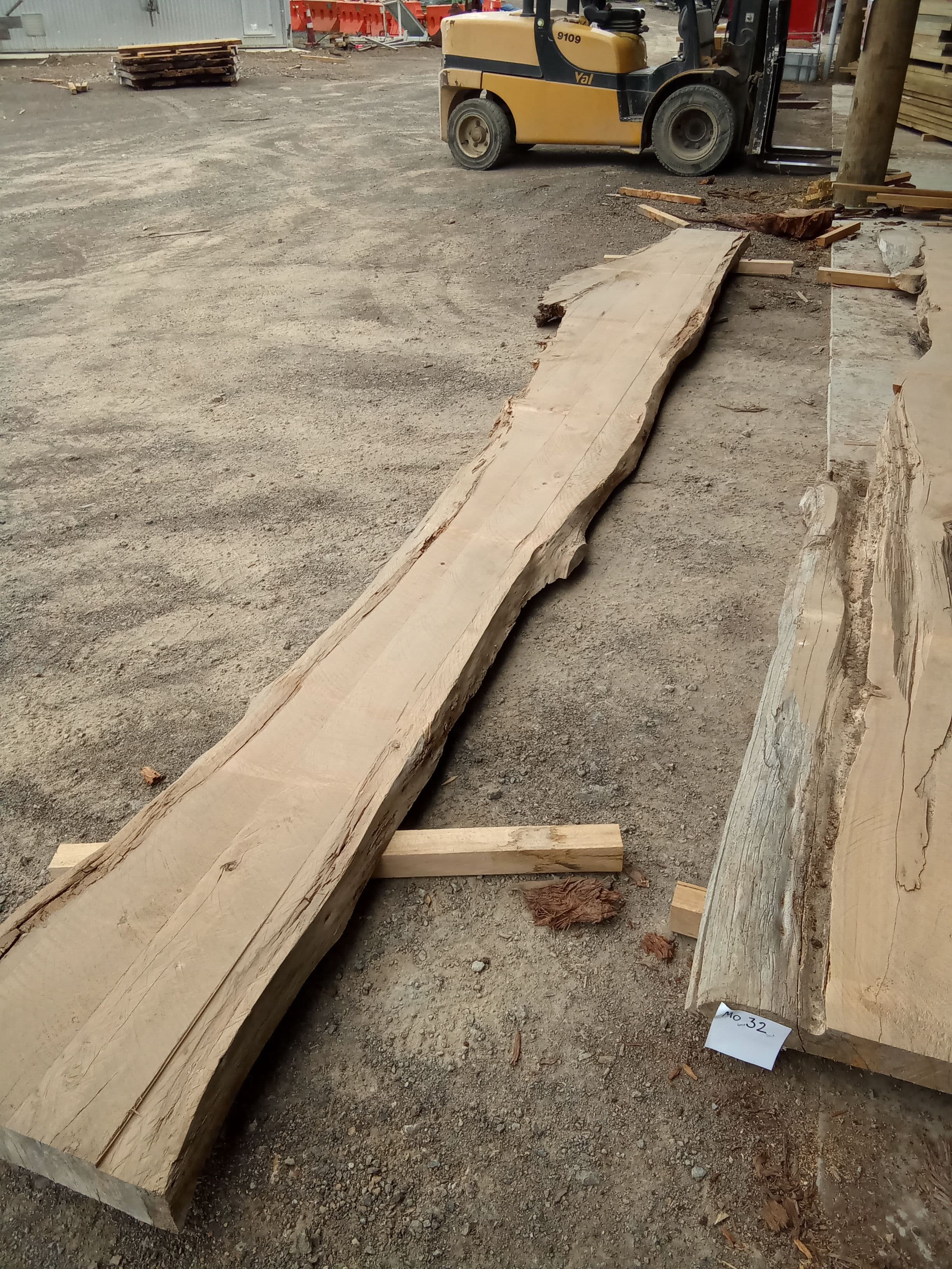 Macrocarpa Slab #33 view 1