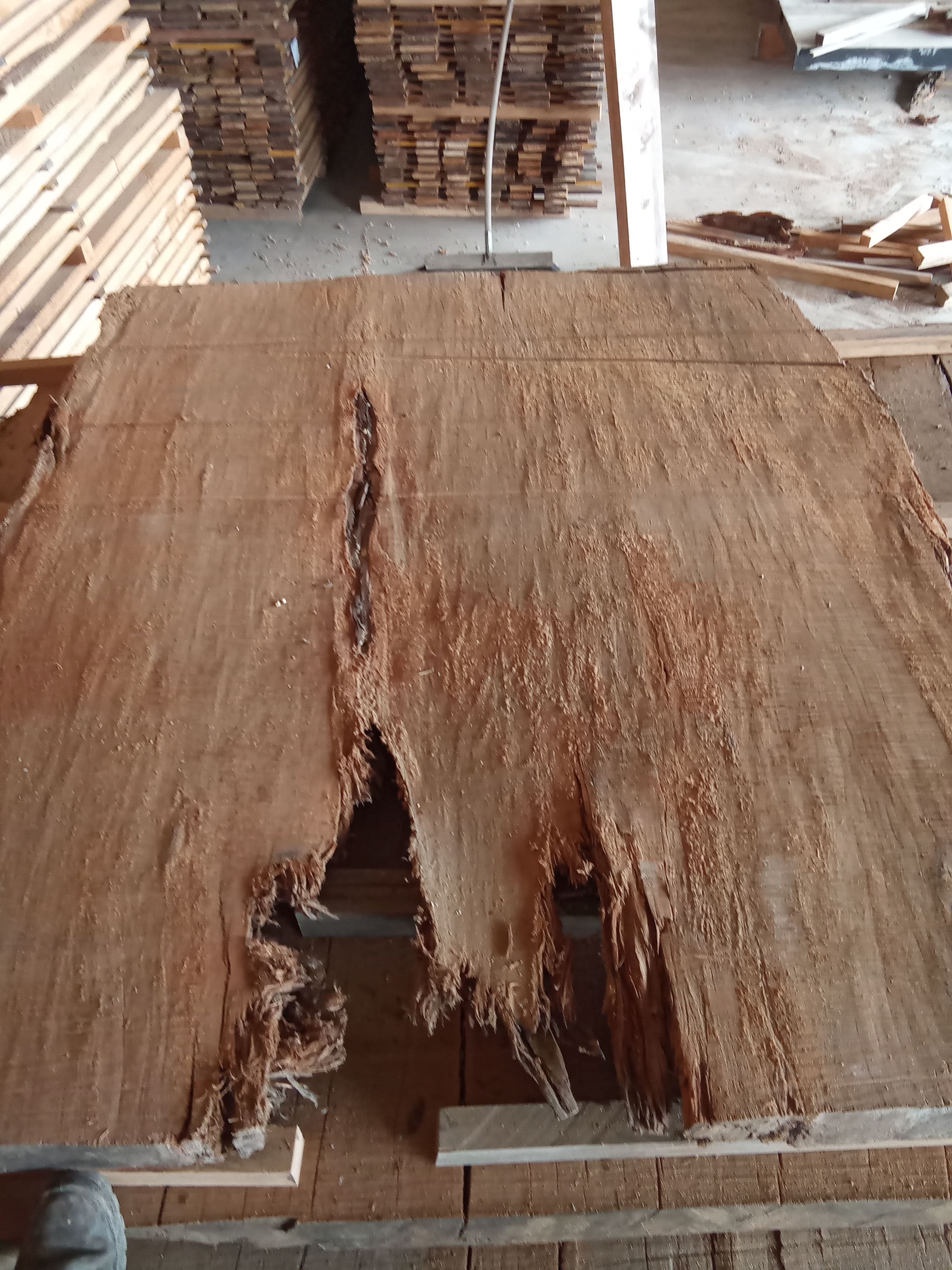 Kauri Slab #14