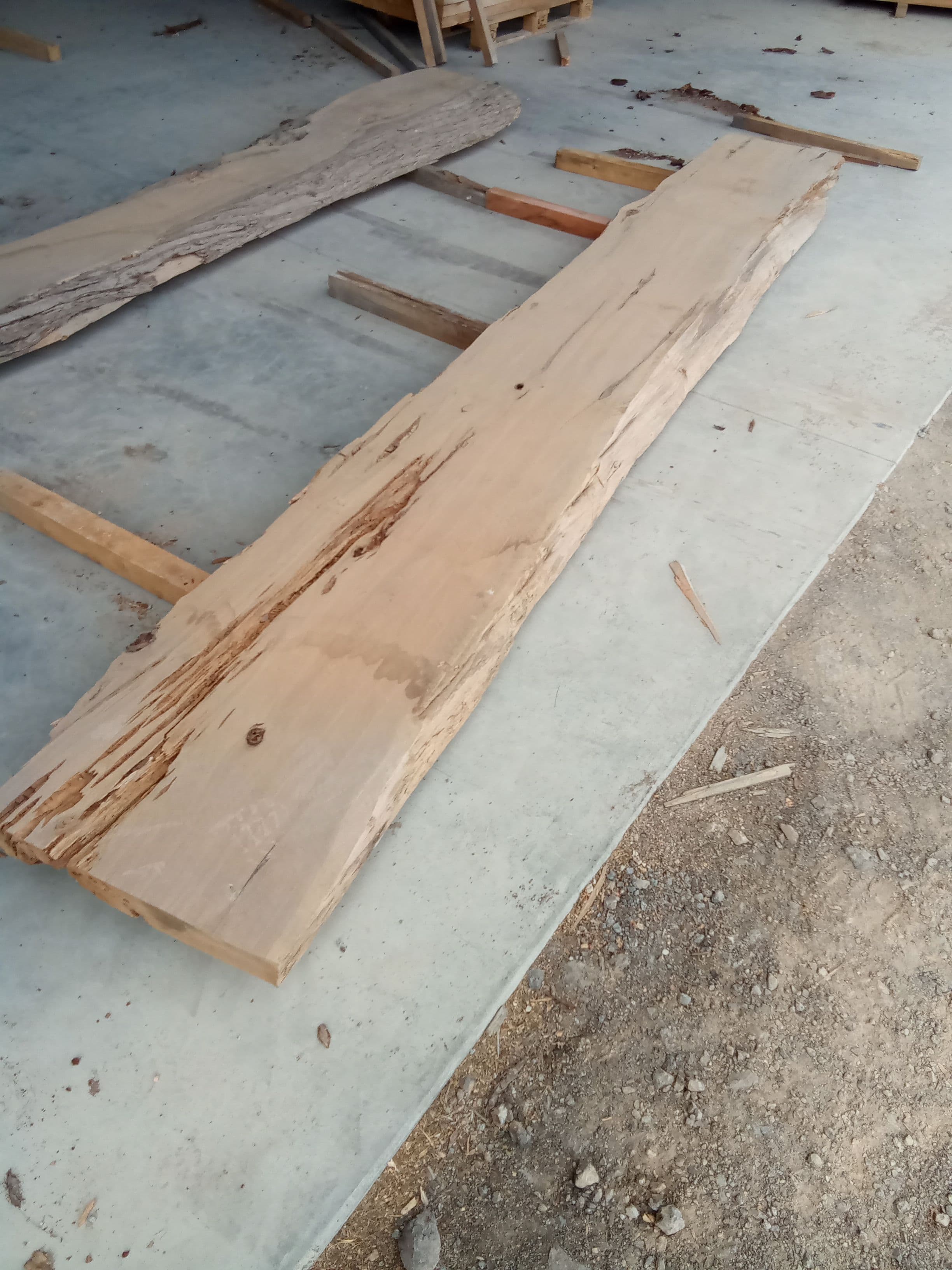 Macrocarpa Slab #25 view 1