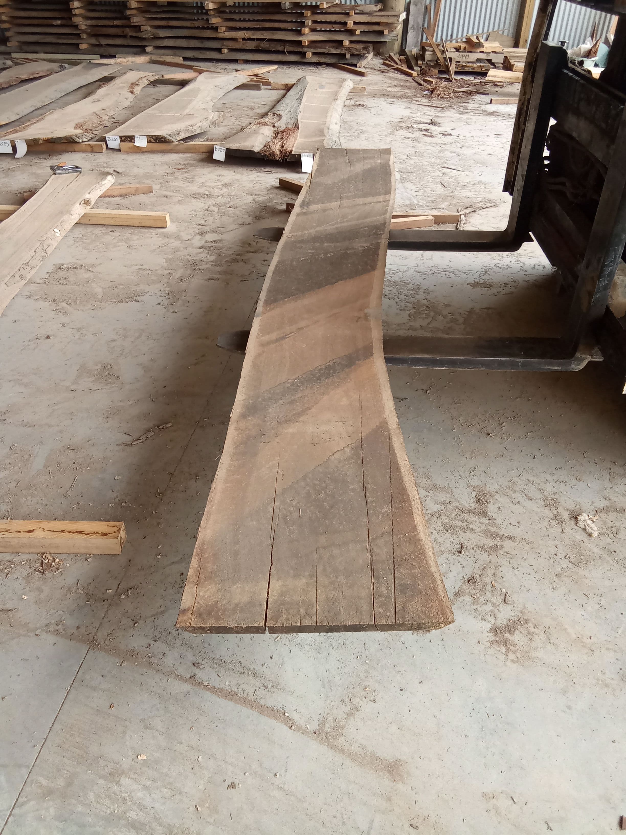Blackbutt Eucalyptus Slab #28