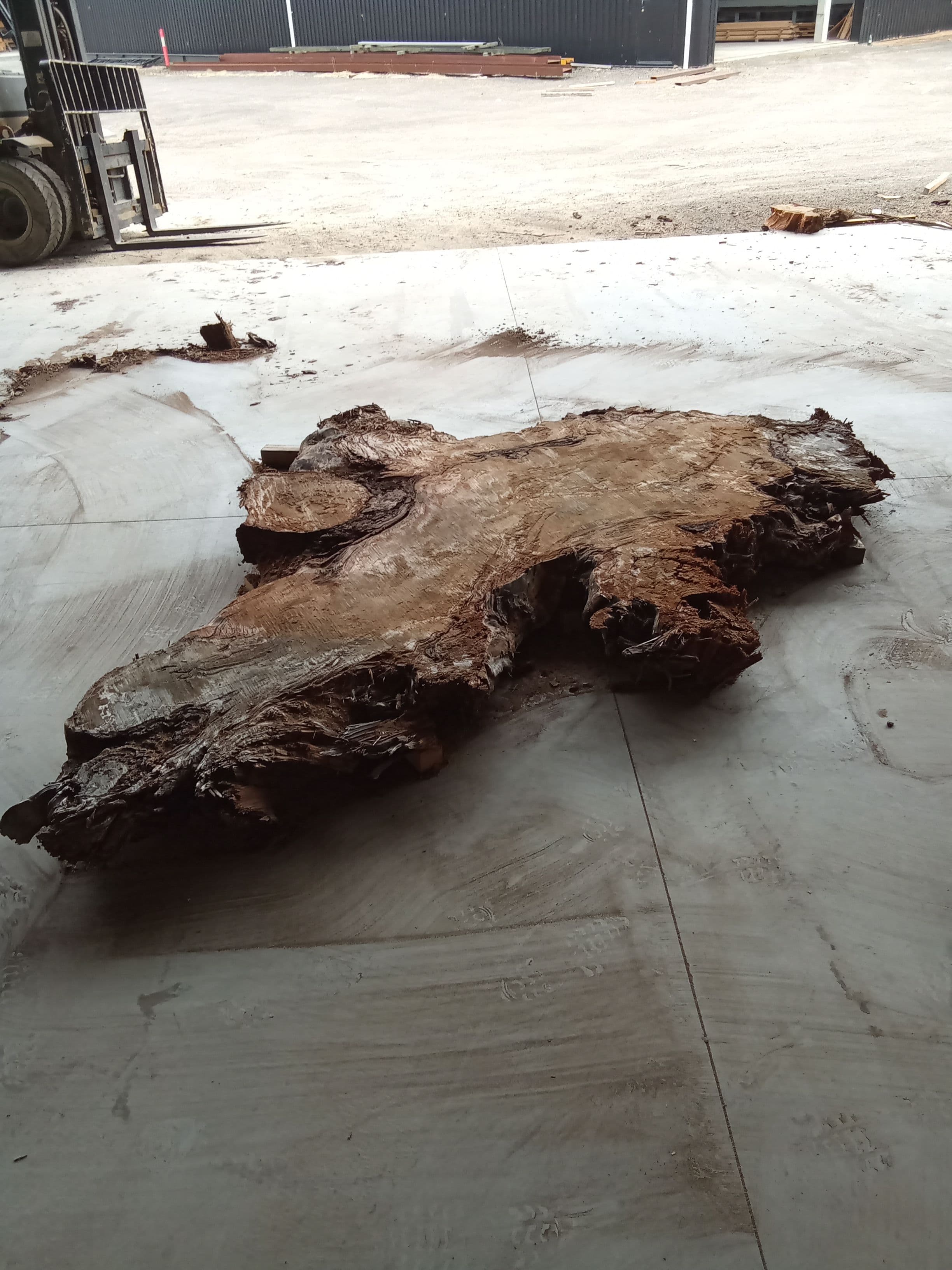 Kauri Slab #8 view 3