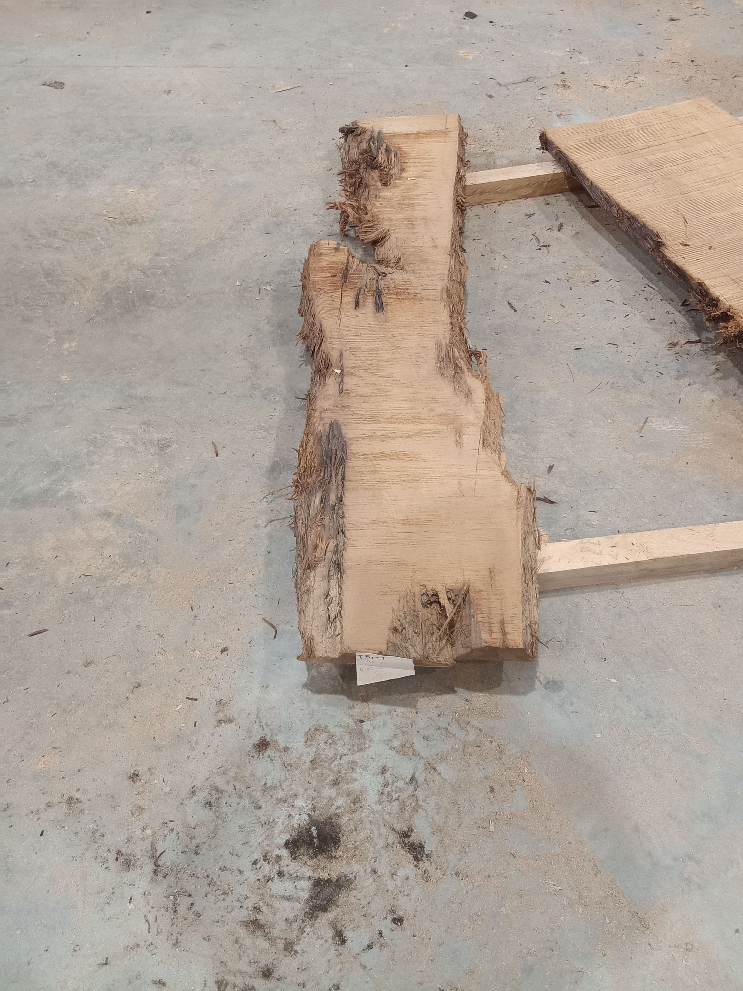 Kauri Slab #35 view 2