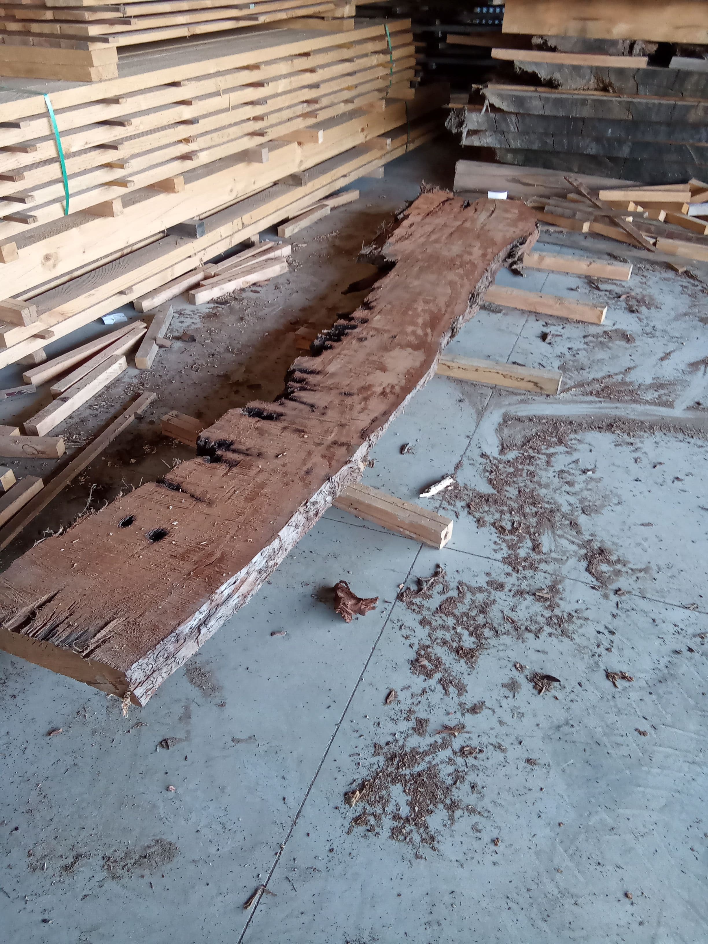Kauri Slab #13 view 1