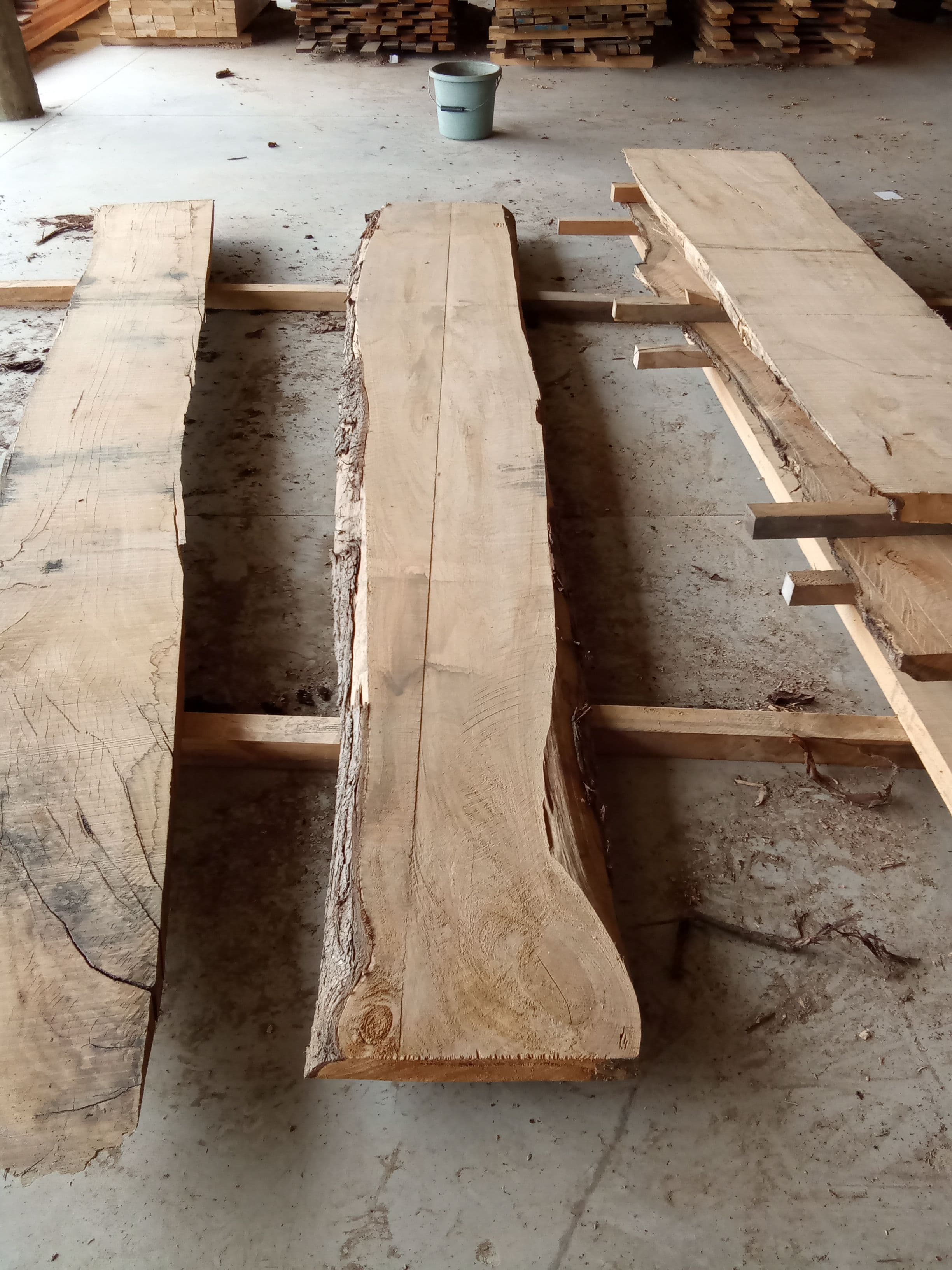 Macrocarpa Slab #23 view 2