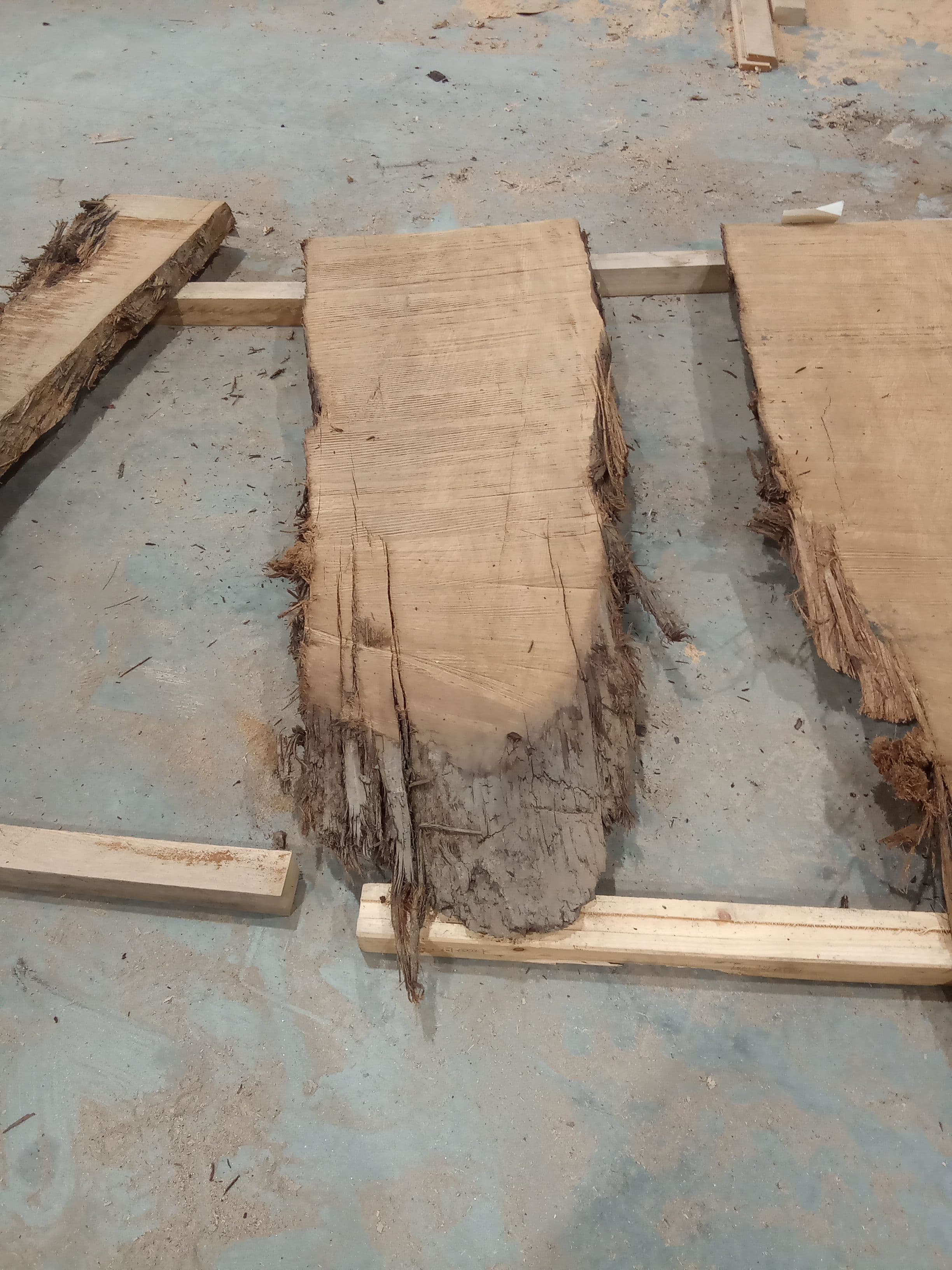 Kauri Slab #34 view 2