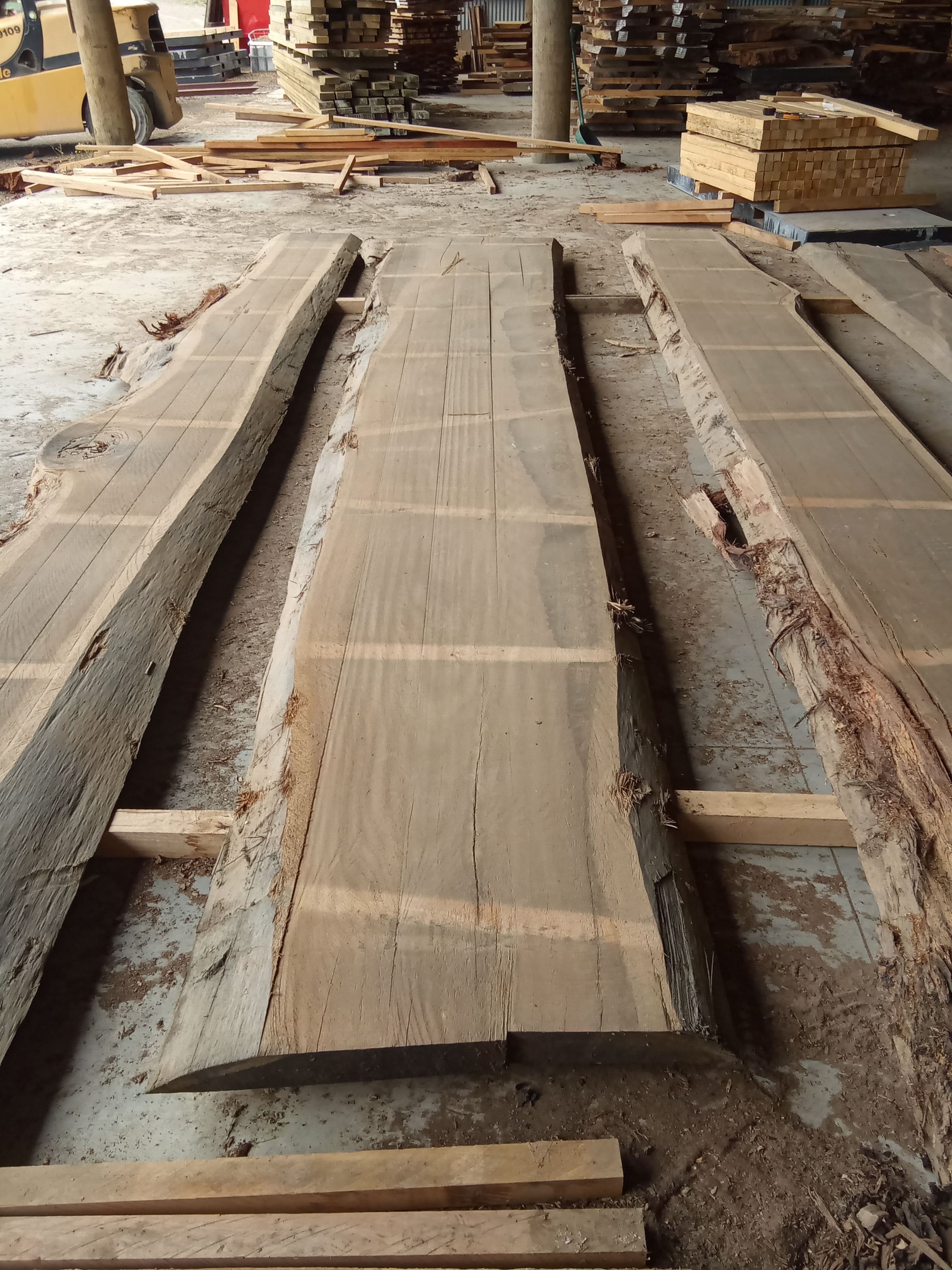 Blackbutt Eucalyptus Slab #10 view 2