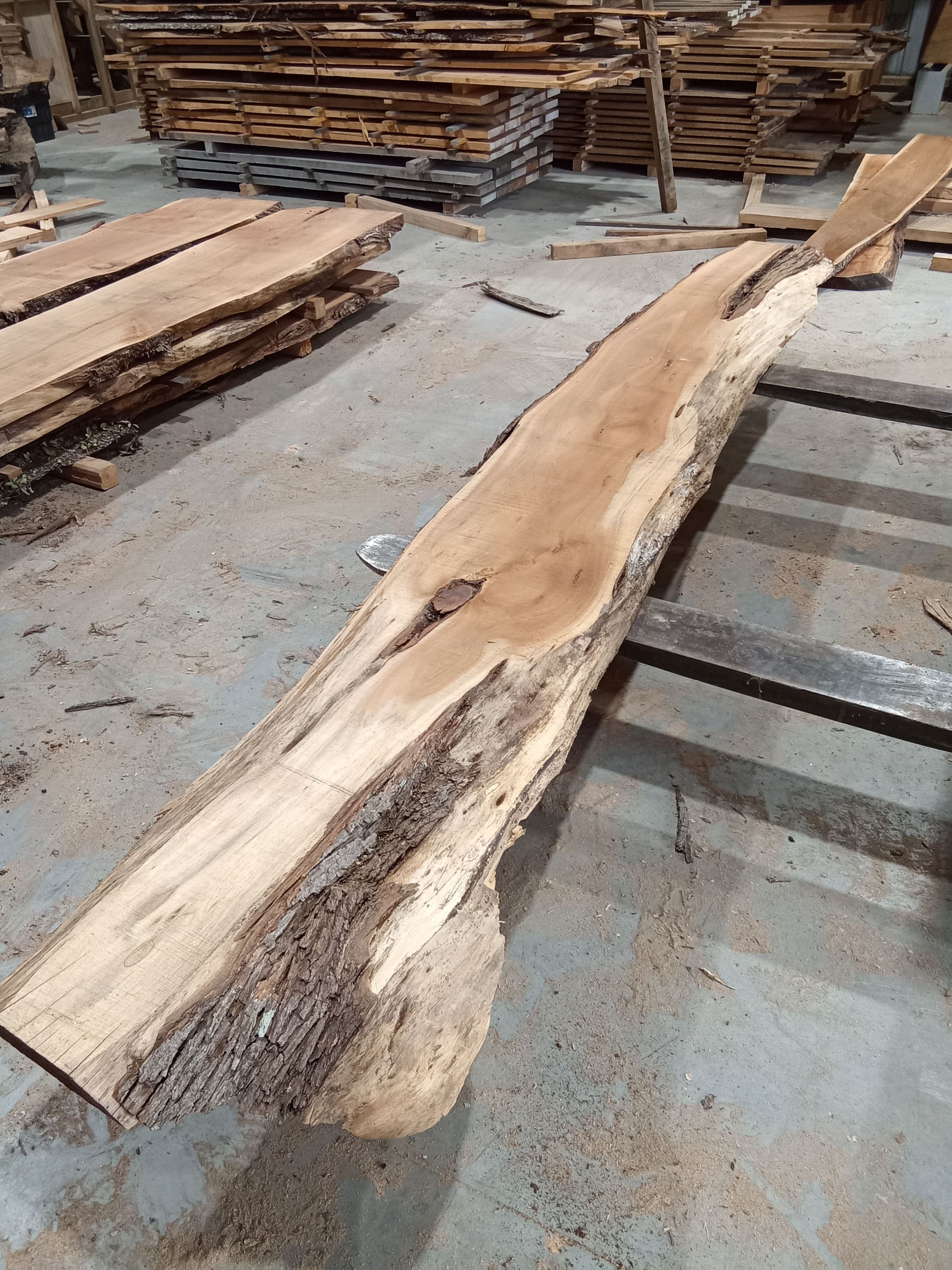 Blackwood Slab #7 view 1