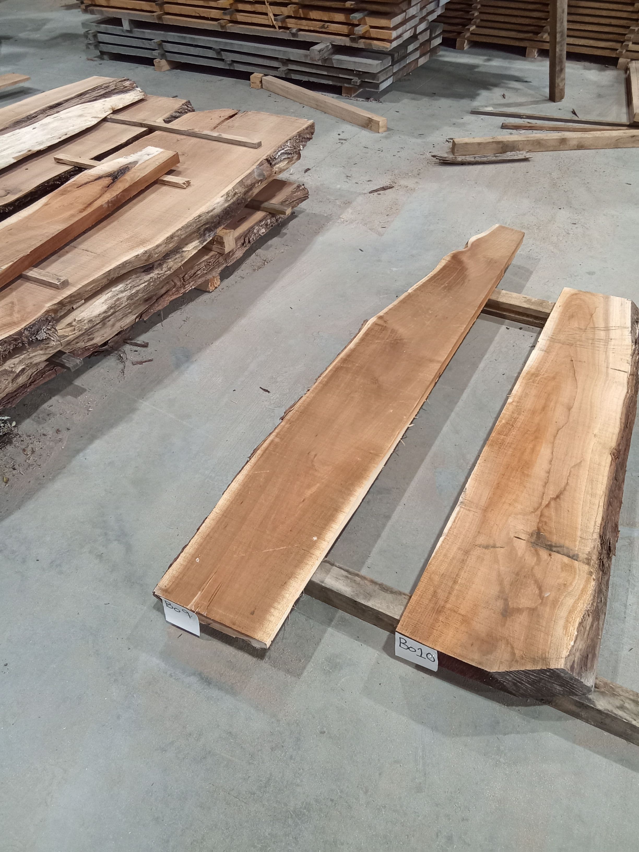 Blackwood Slab #9 view 1