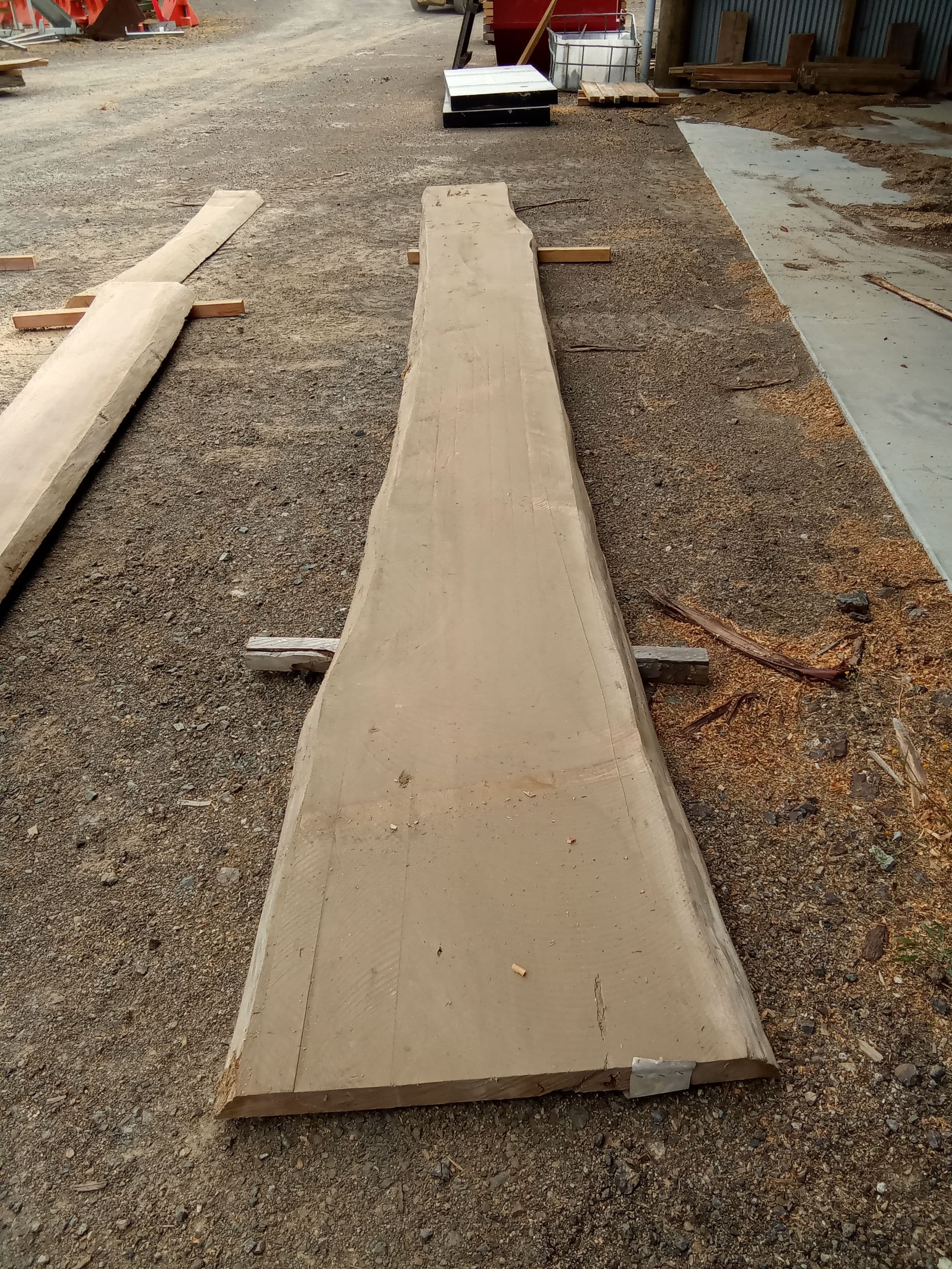 Macrocarpa Slab #2