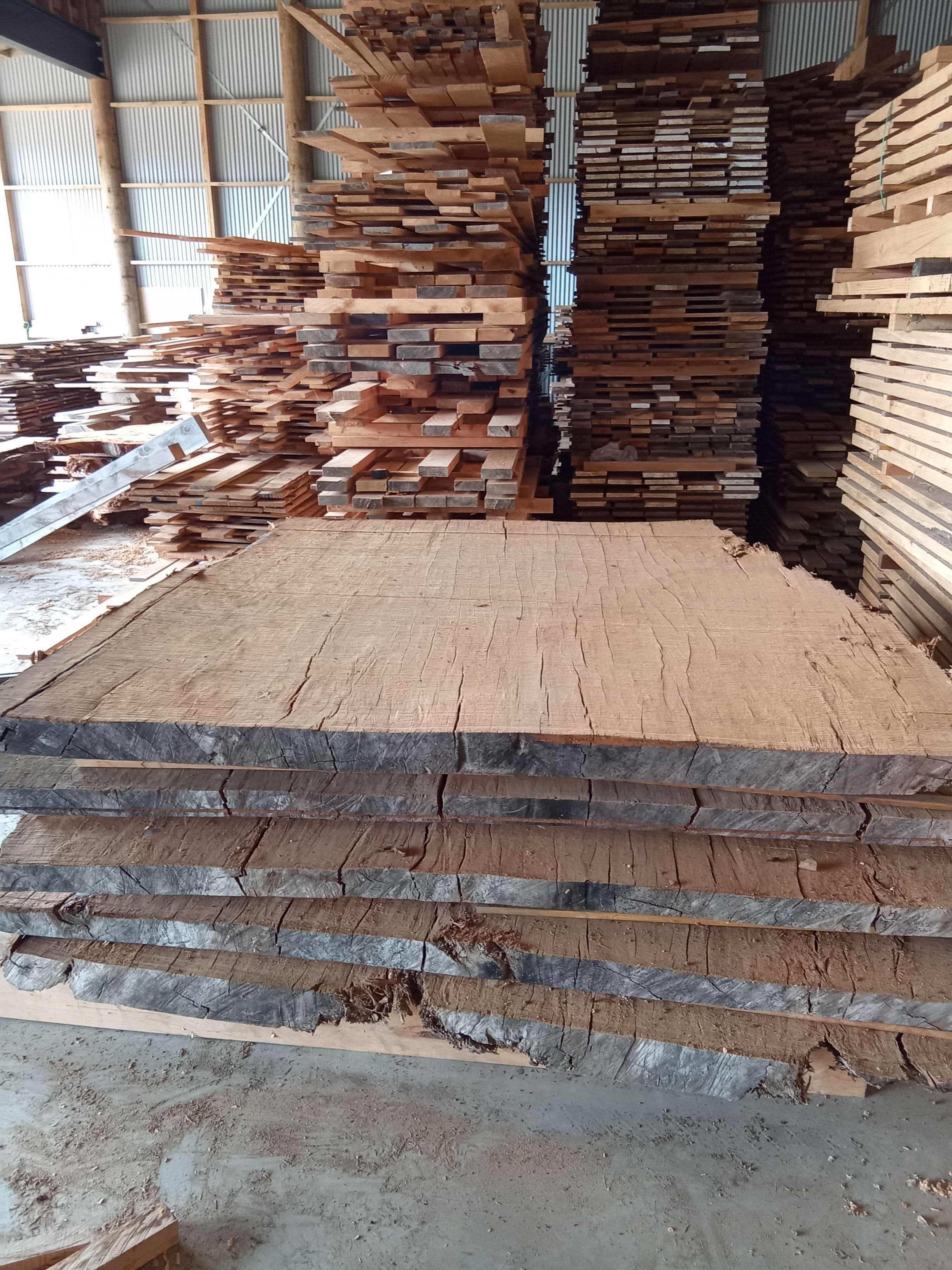 Kauri Slab #15 view 1