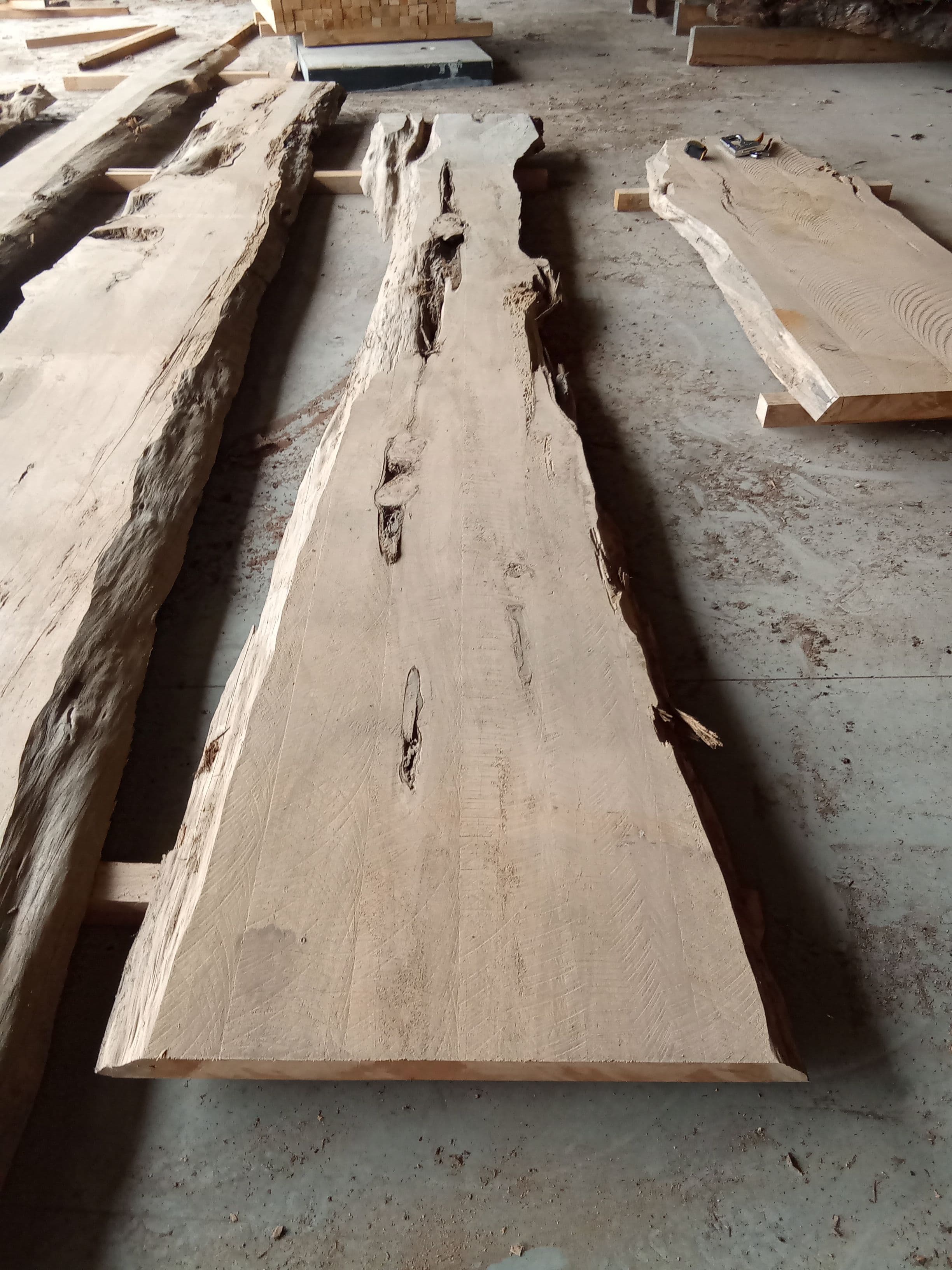 Macrocarpa Slab #27 view 2