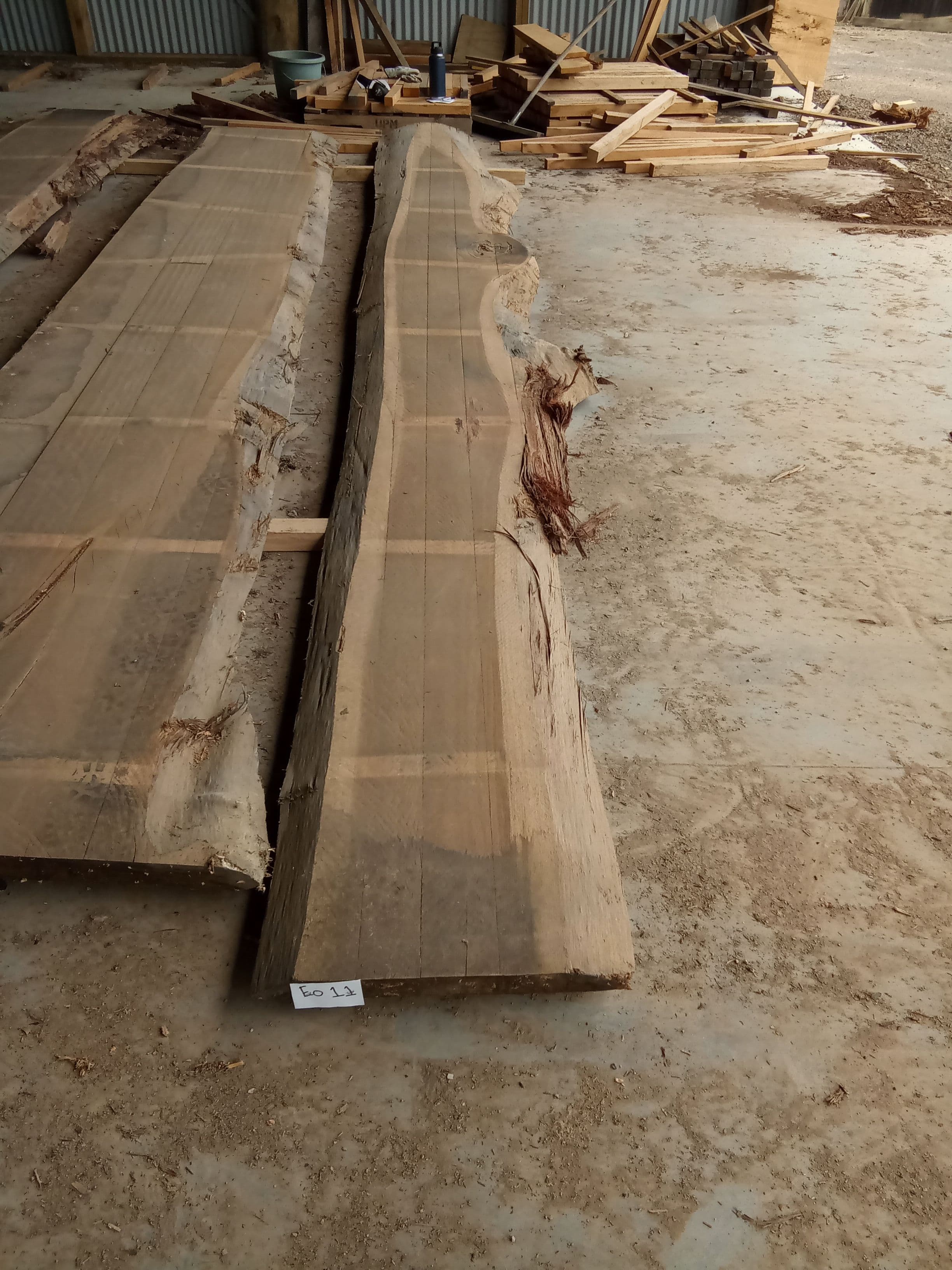 Blackbutt Eucalyptus Slab #11