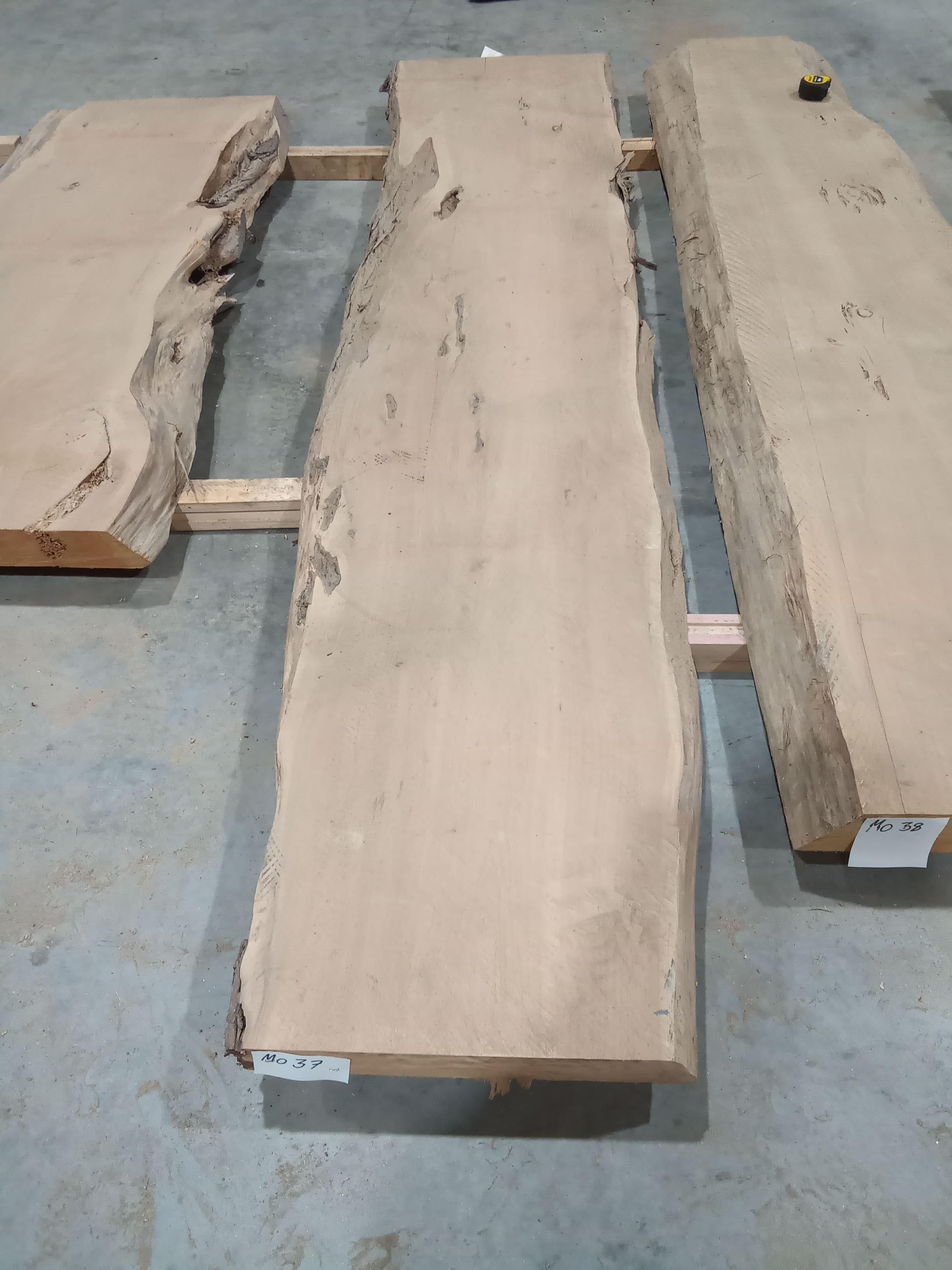Macrocarpa Slab #37 view 2