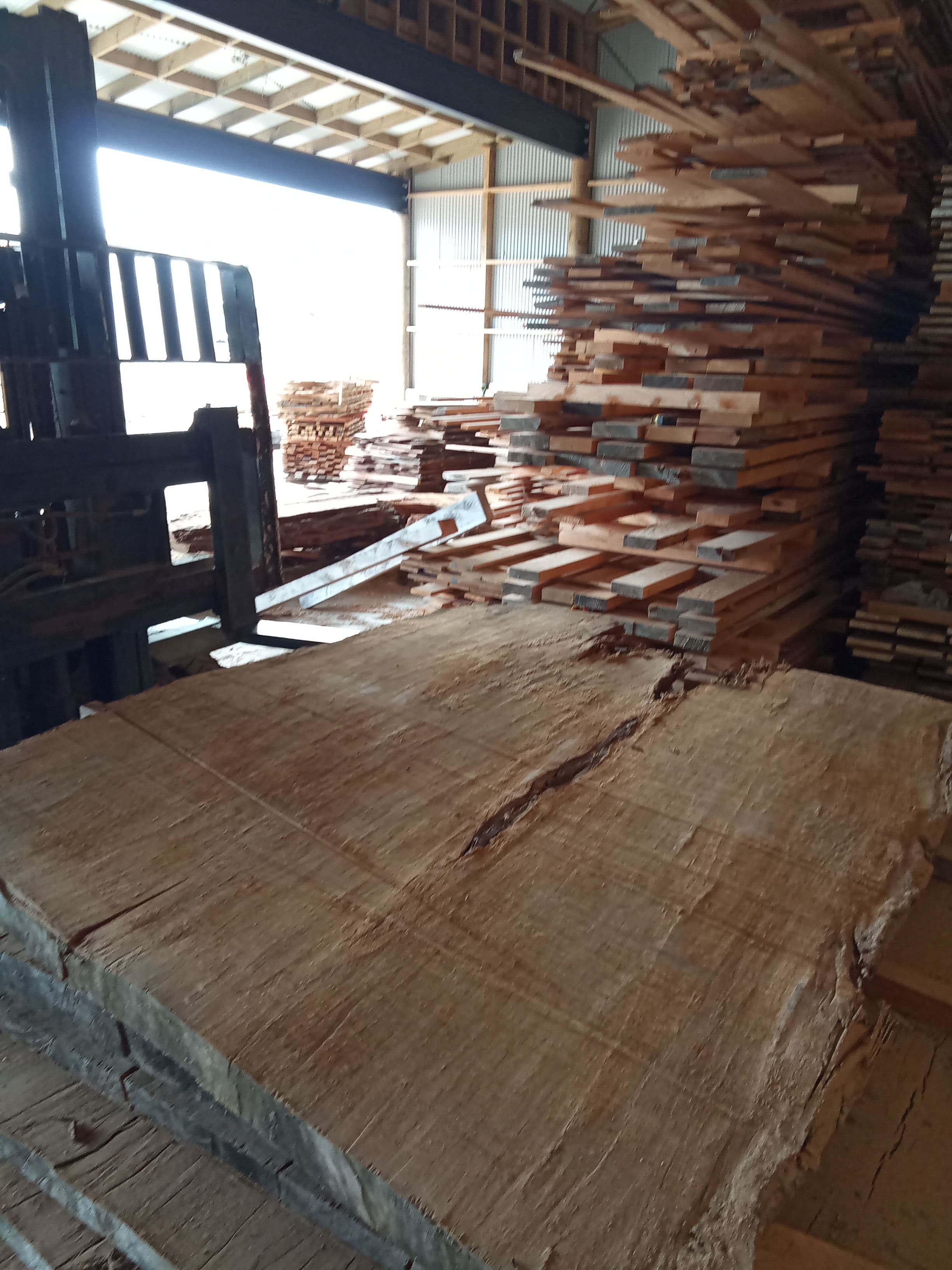 Kauri Slab #14 view 1
