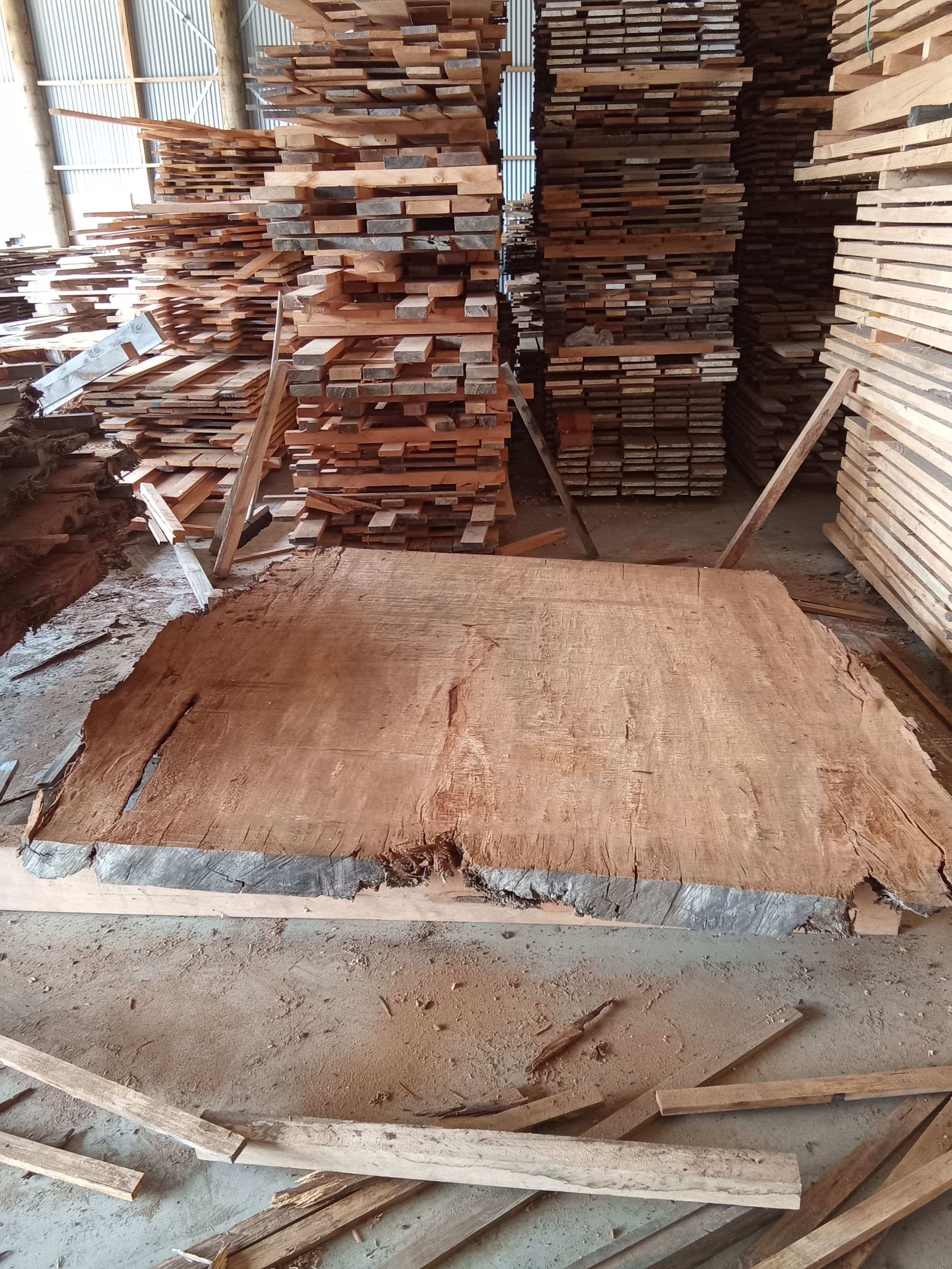Kauri Slab #20
