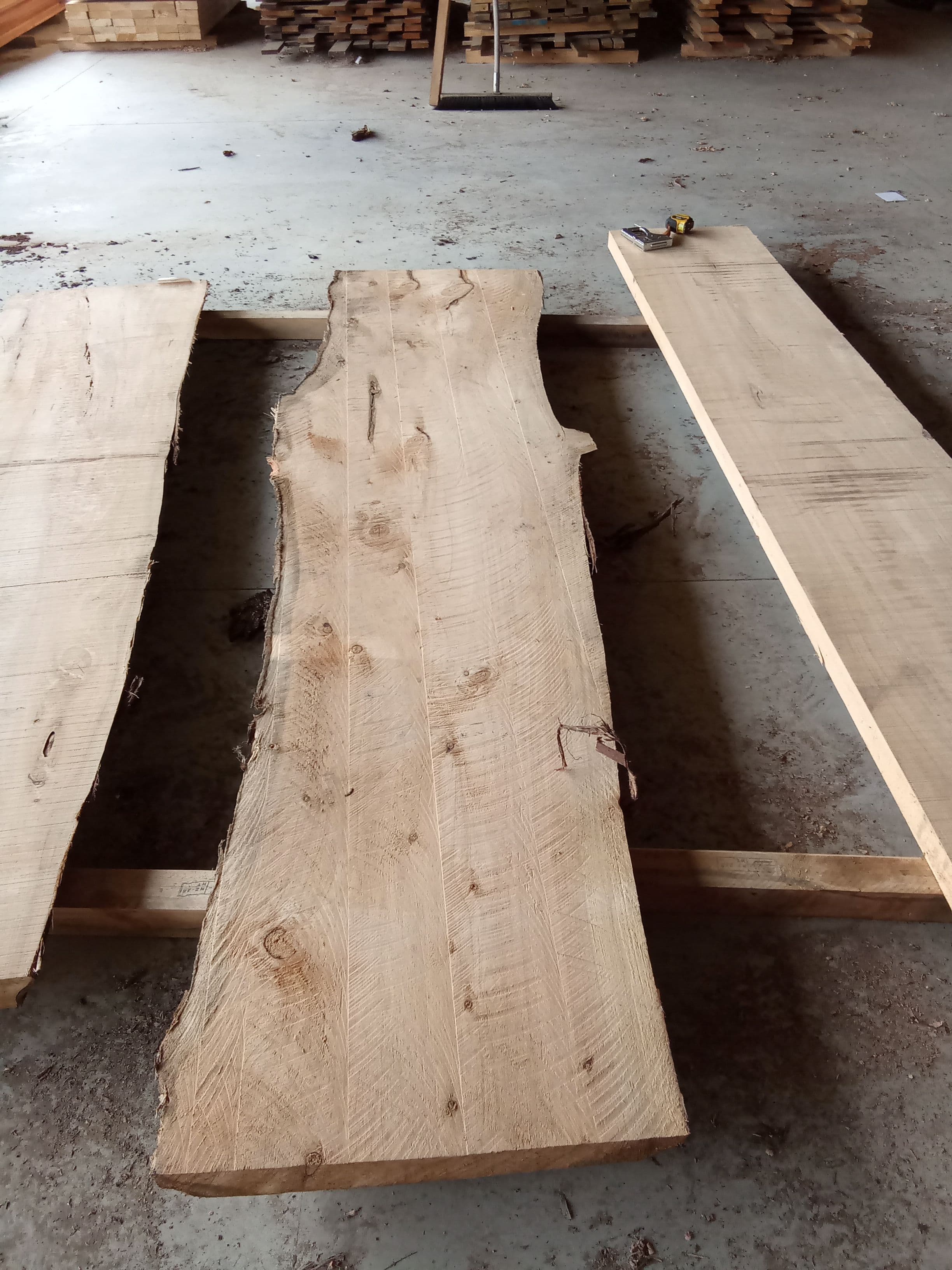 Macrocarpa Slab #21 view 2