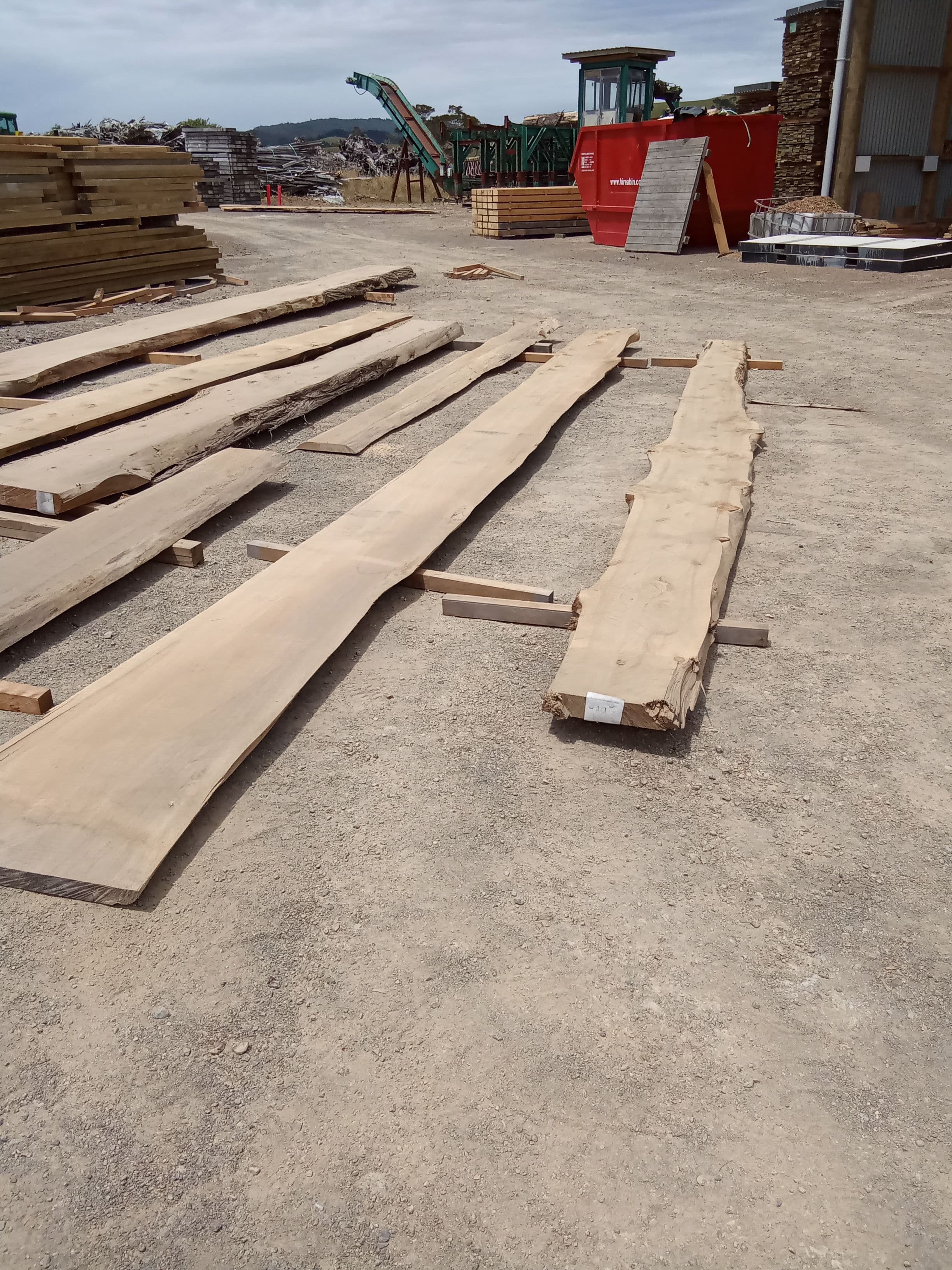 Macrocarpa Slab #15 view 1