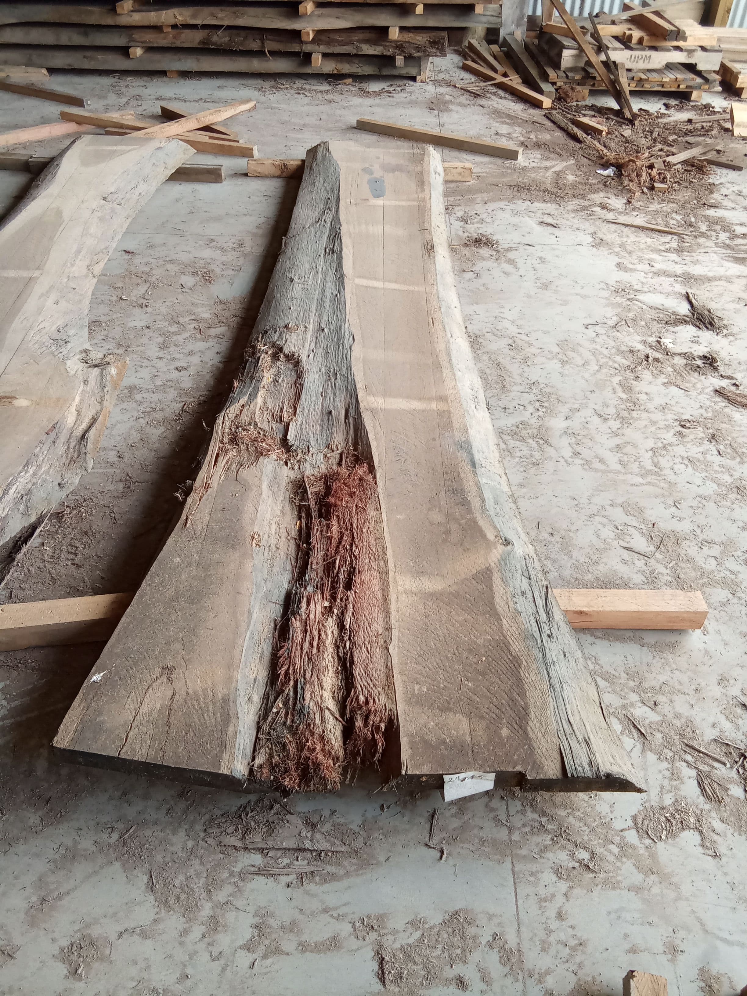 Blackbutt Eucalyptus Slab #27