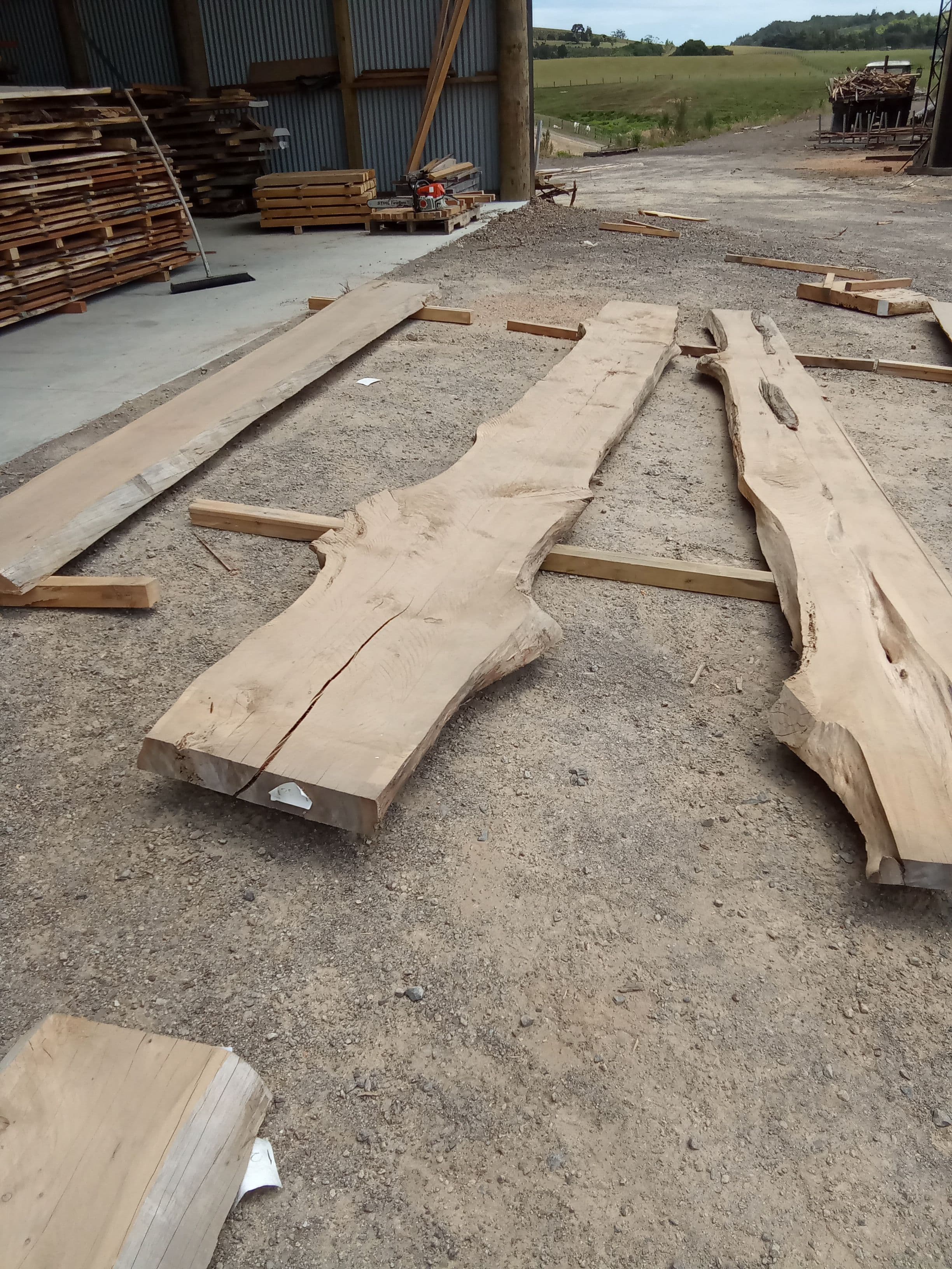 Macrocarpa Slab #17 view 1