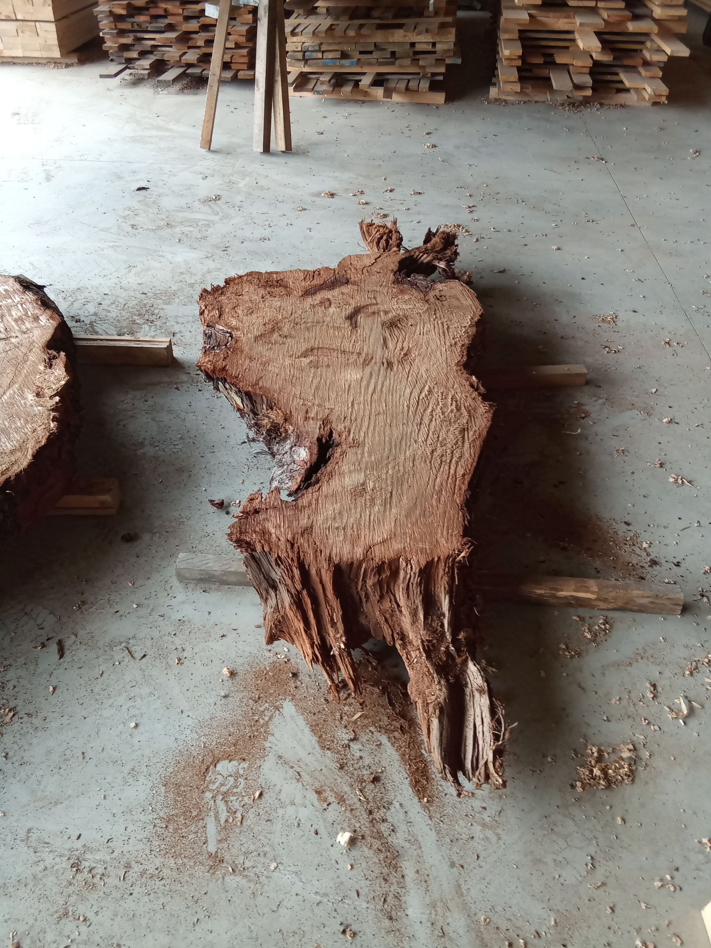 Kauri Slab #2 view 2