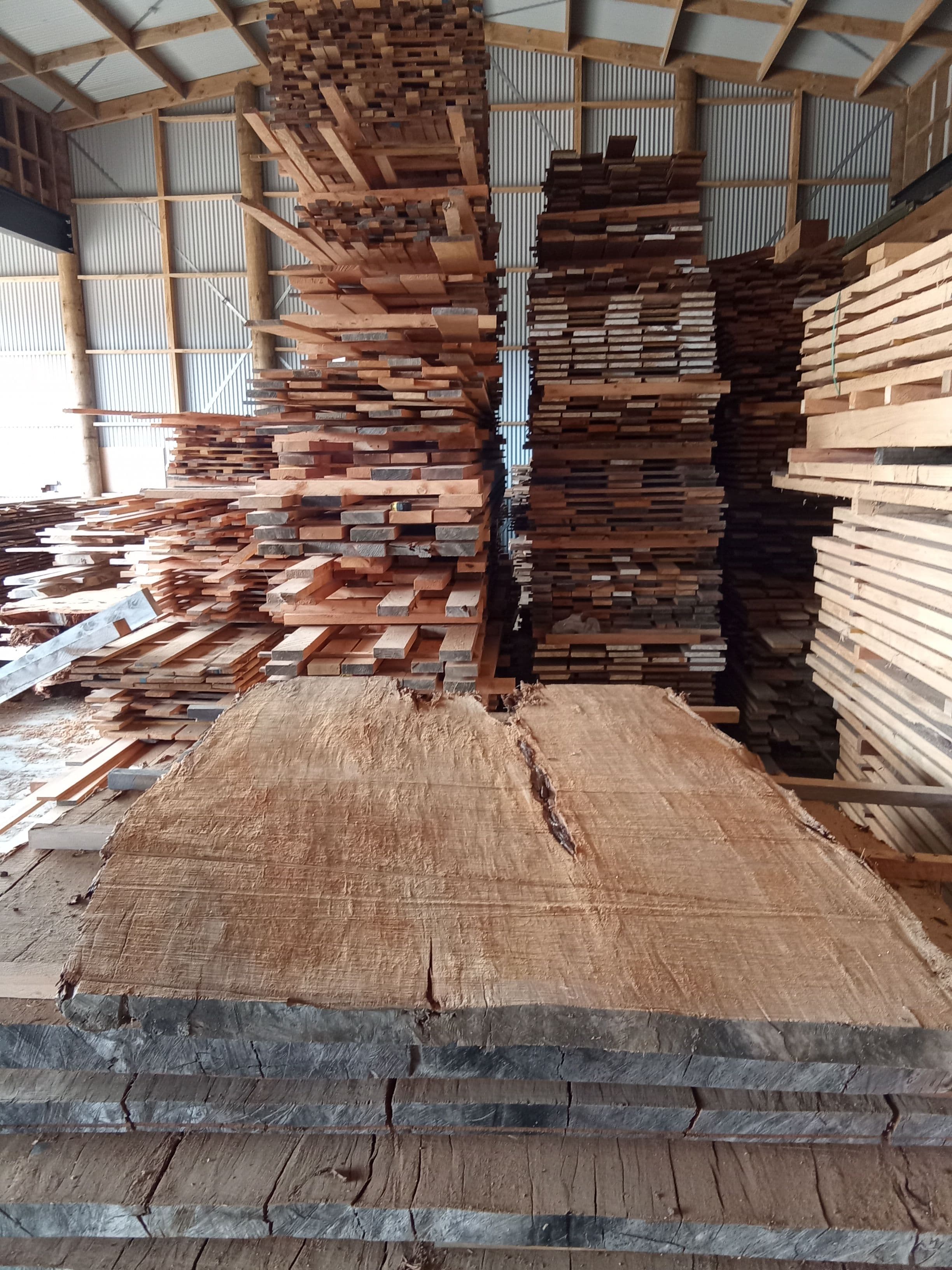 Kauri Slab #14 view 2