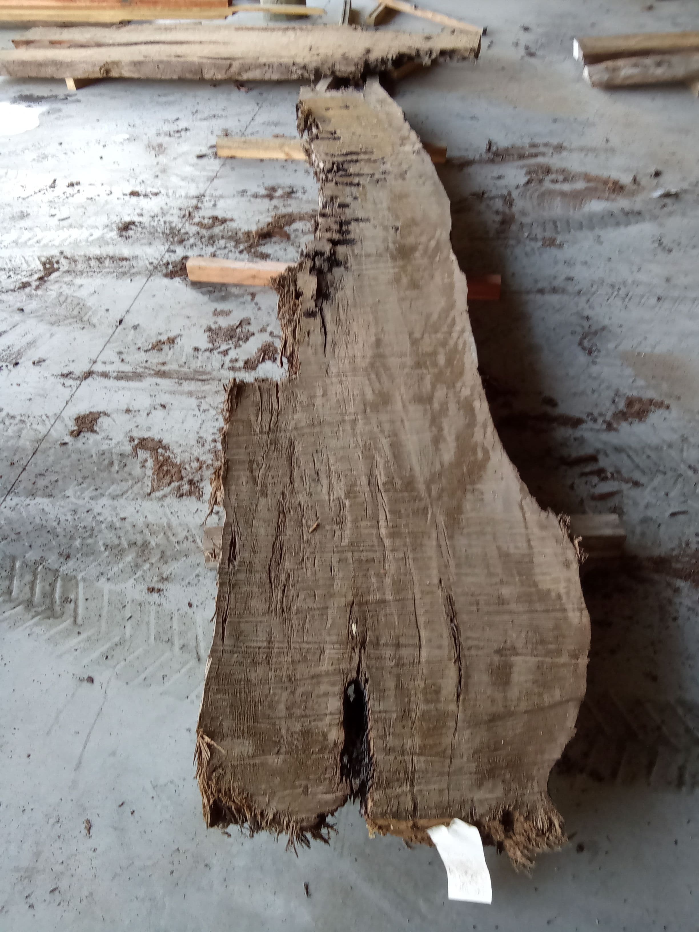 Kauri Slab #12 view 2
