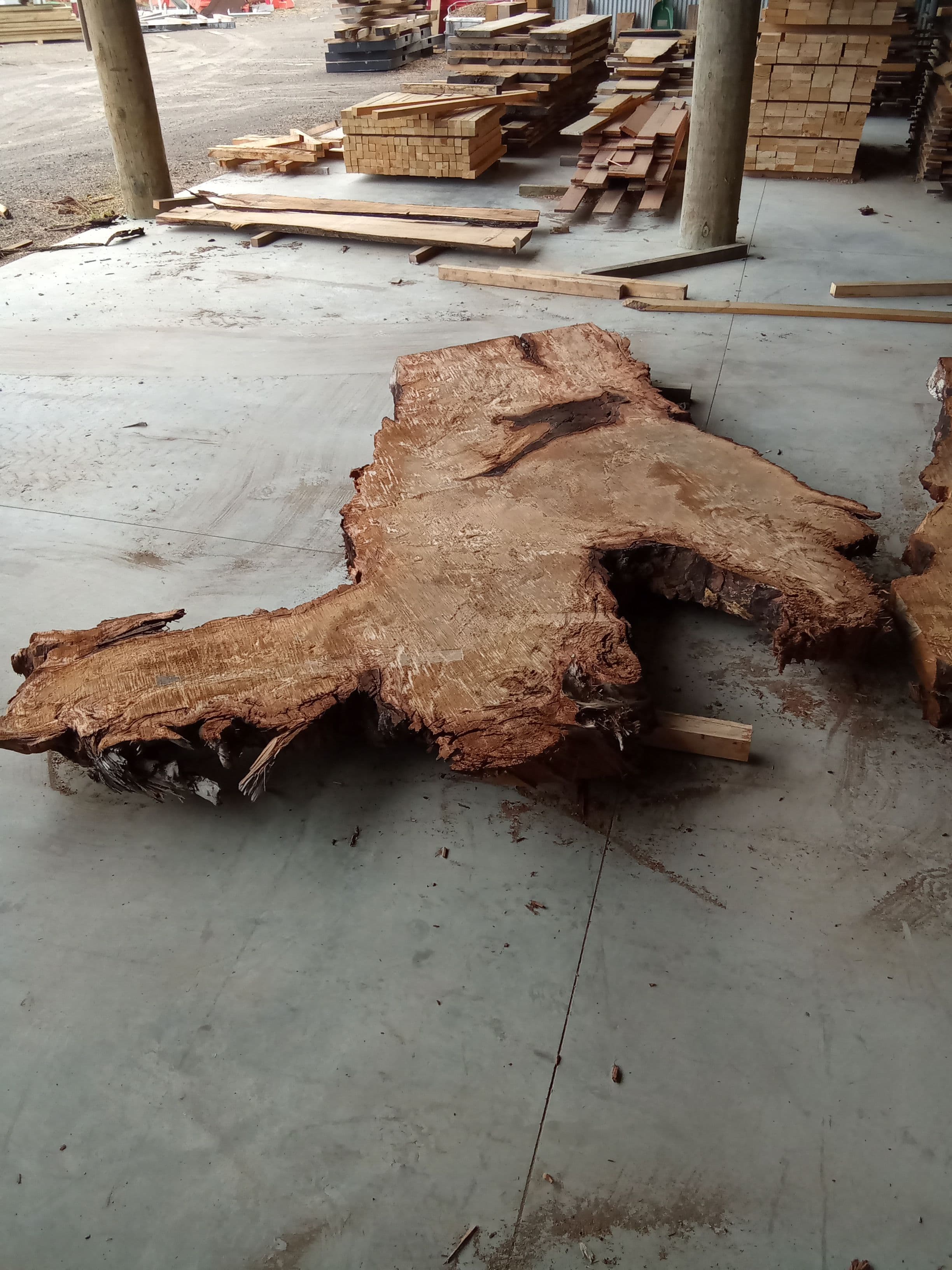 Kauri Slab #7 view 2