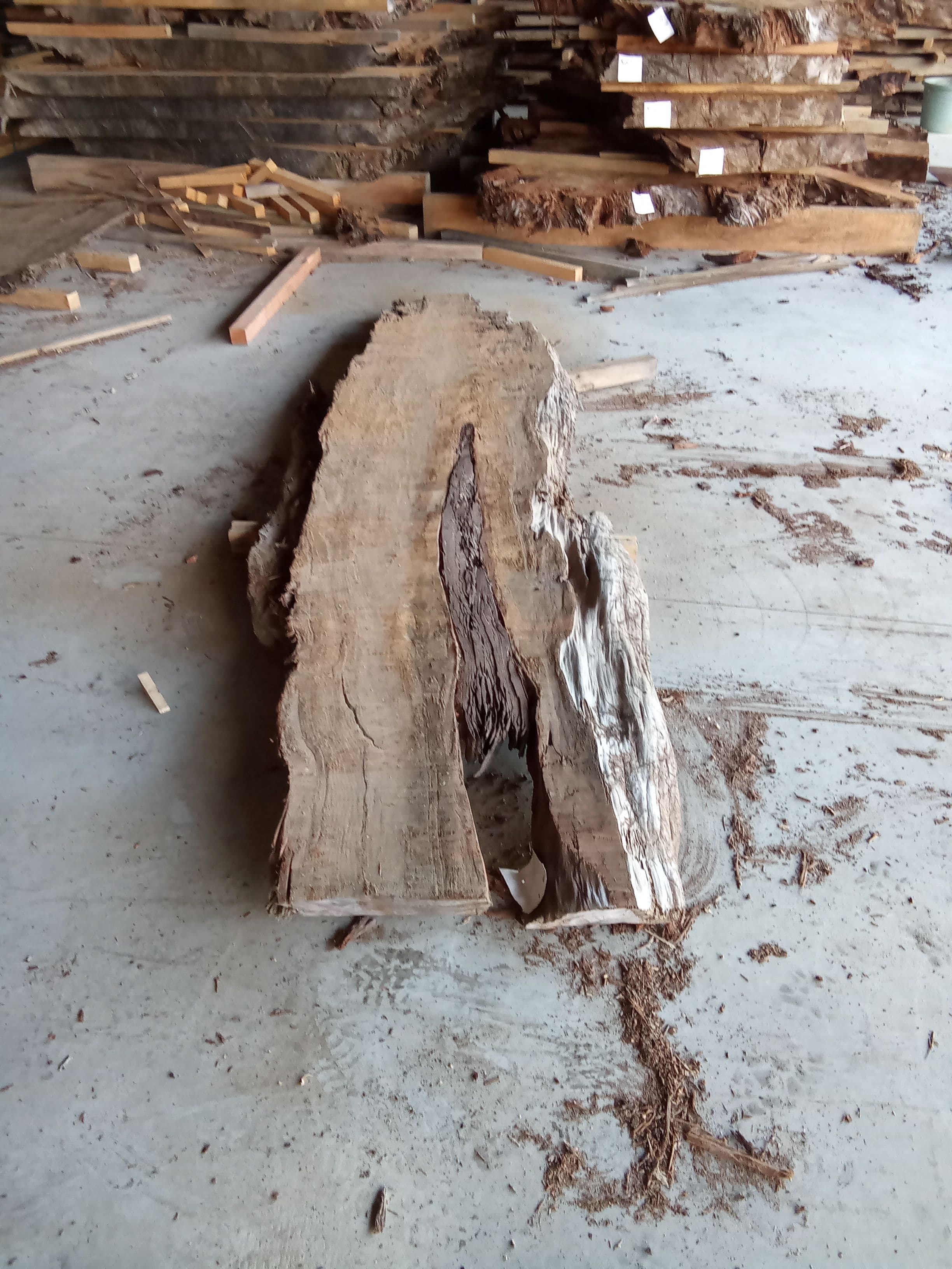 Kauri Slab #11