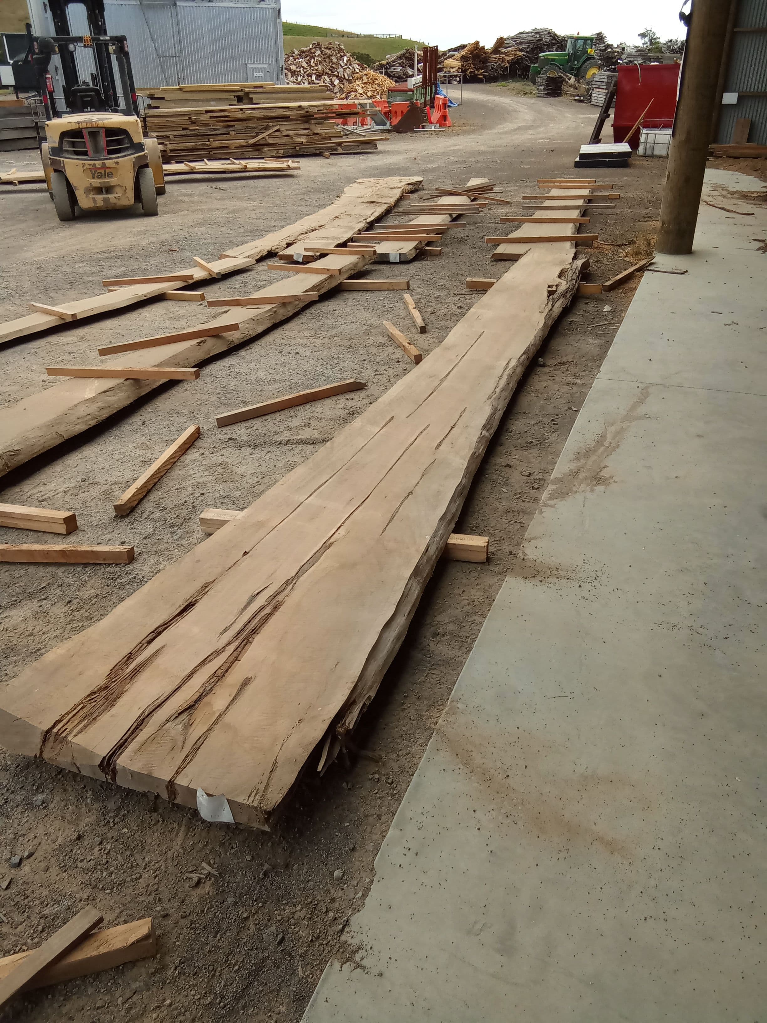 Macrocarpa Slab #1 view 1