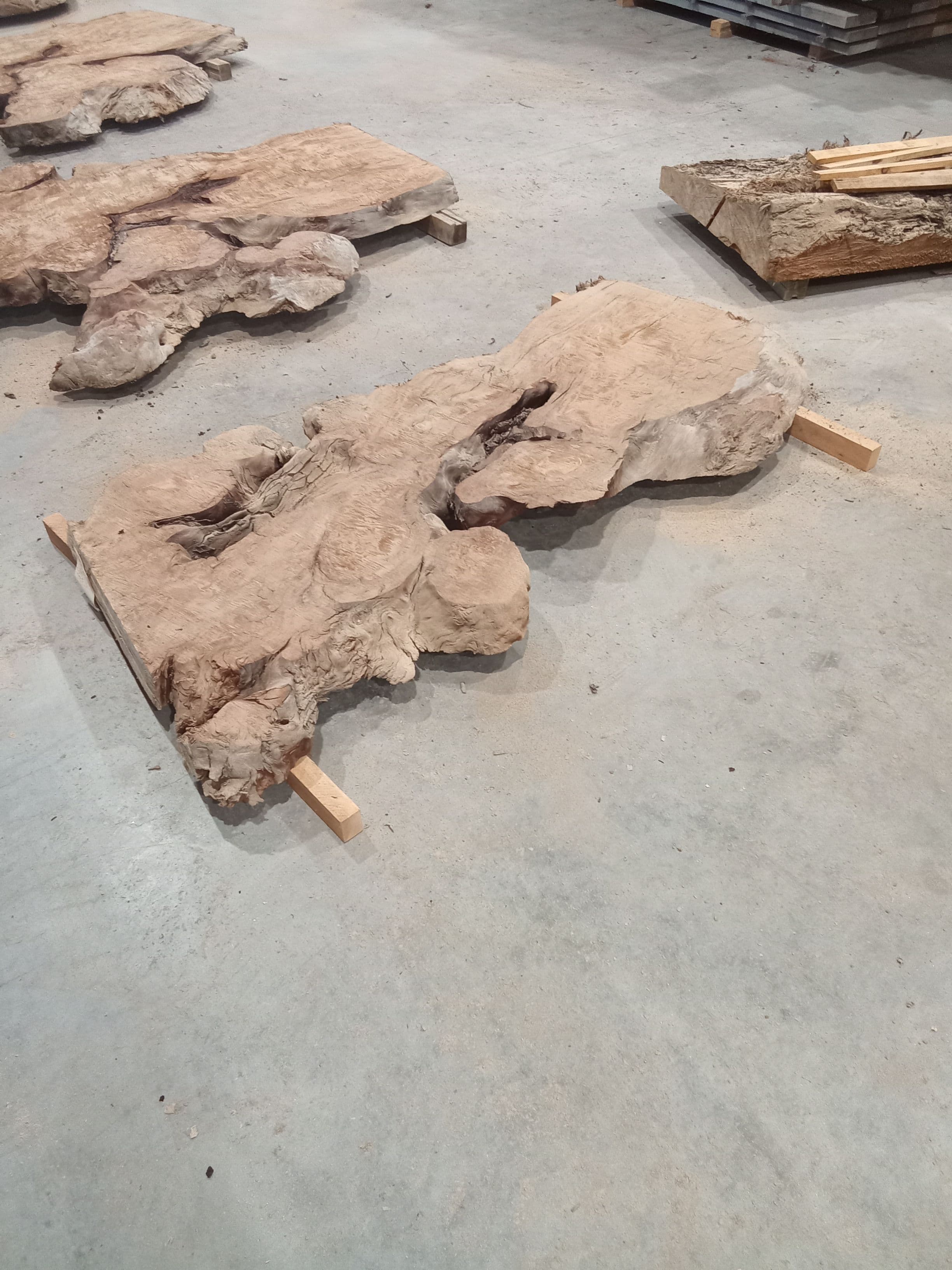 Kauri Slab #29 view 1