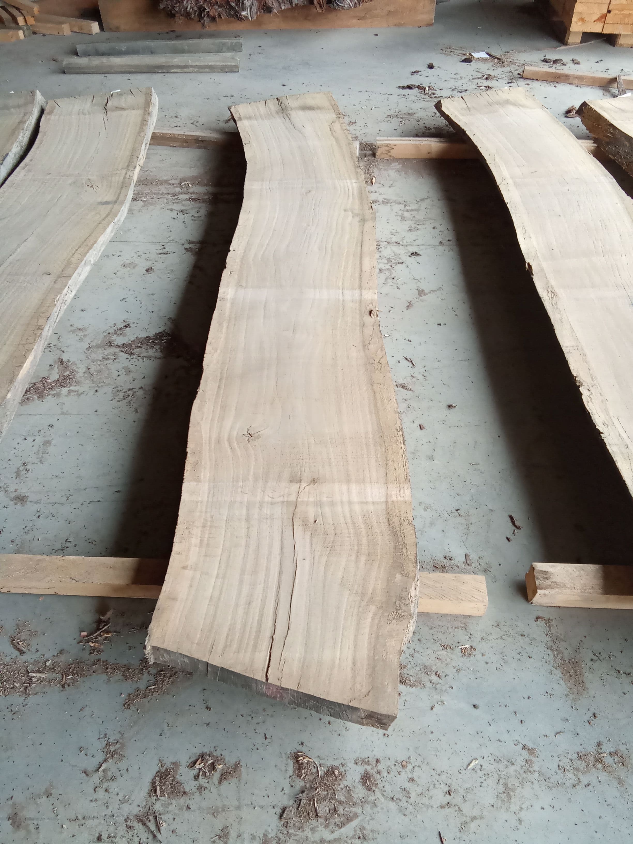 Oak Slab #28