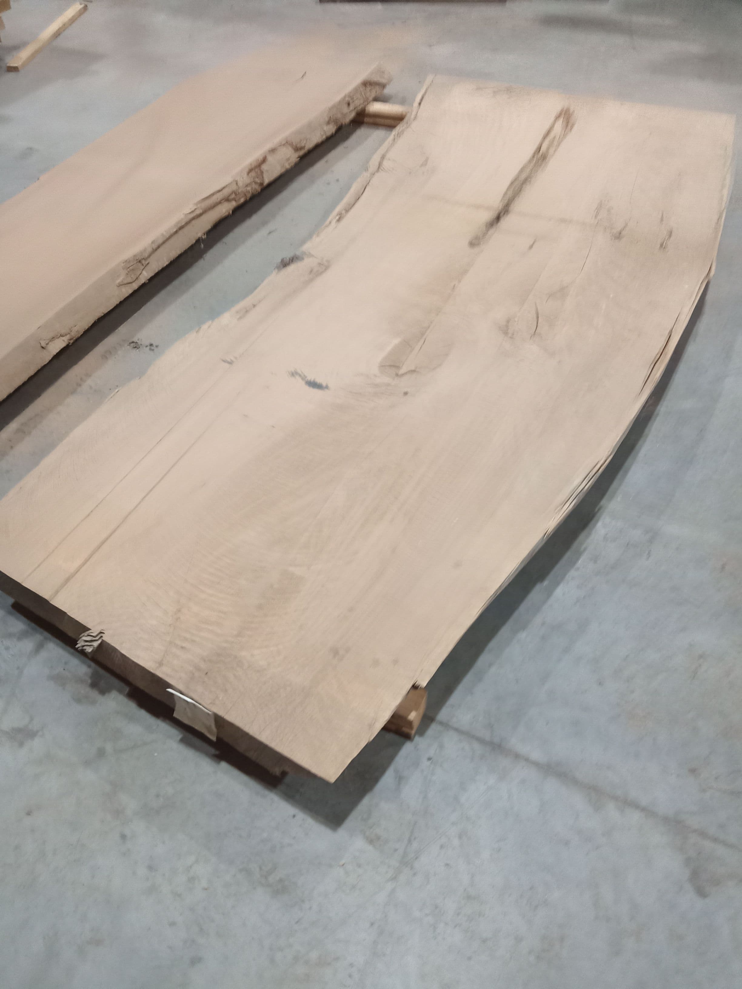 Macrocarpa Slab #39 view 1
