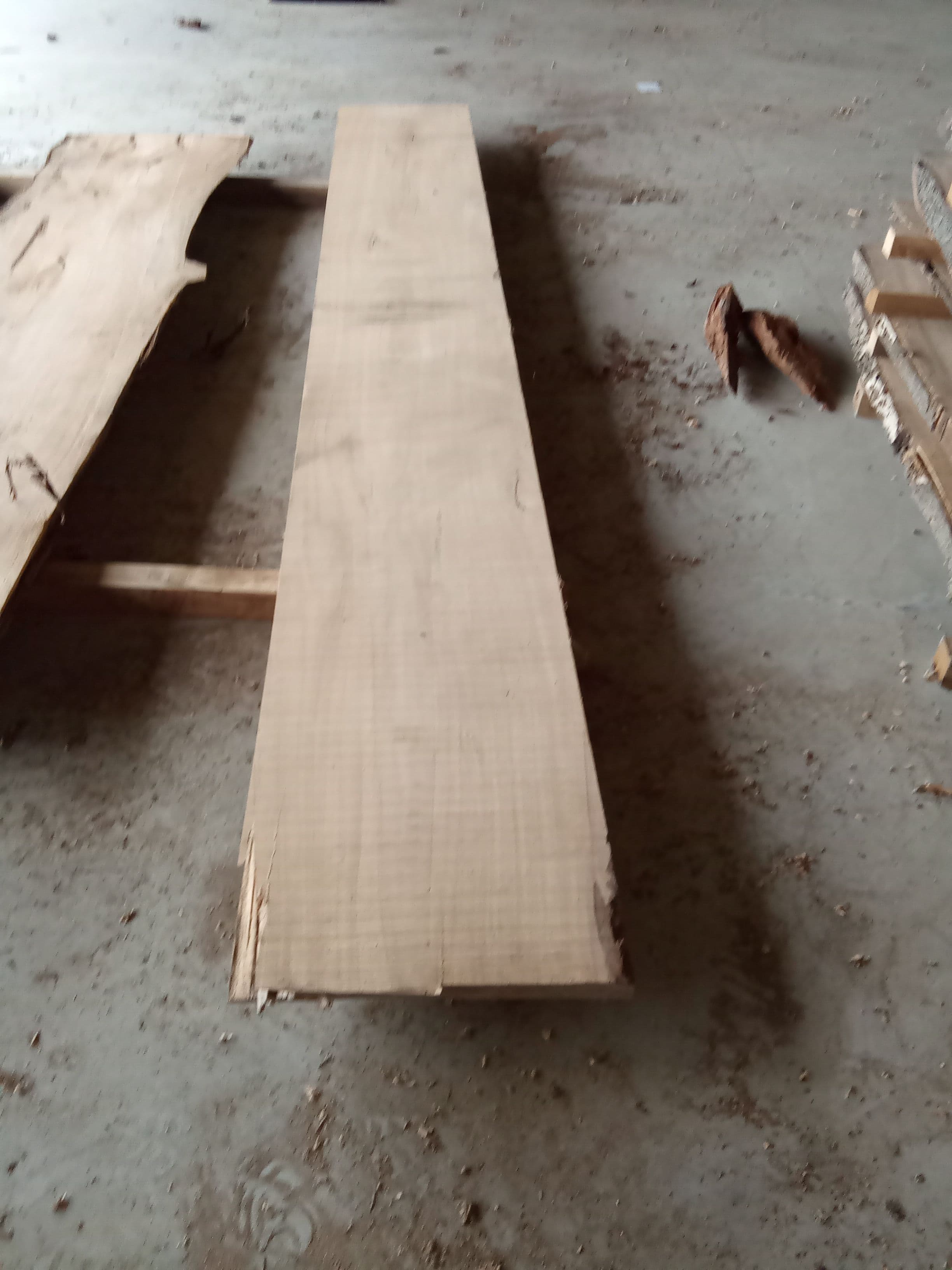 Macrocarpa Slab #20 view 2