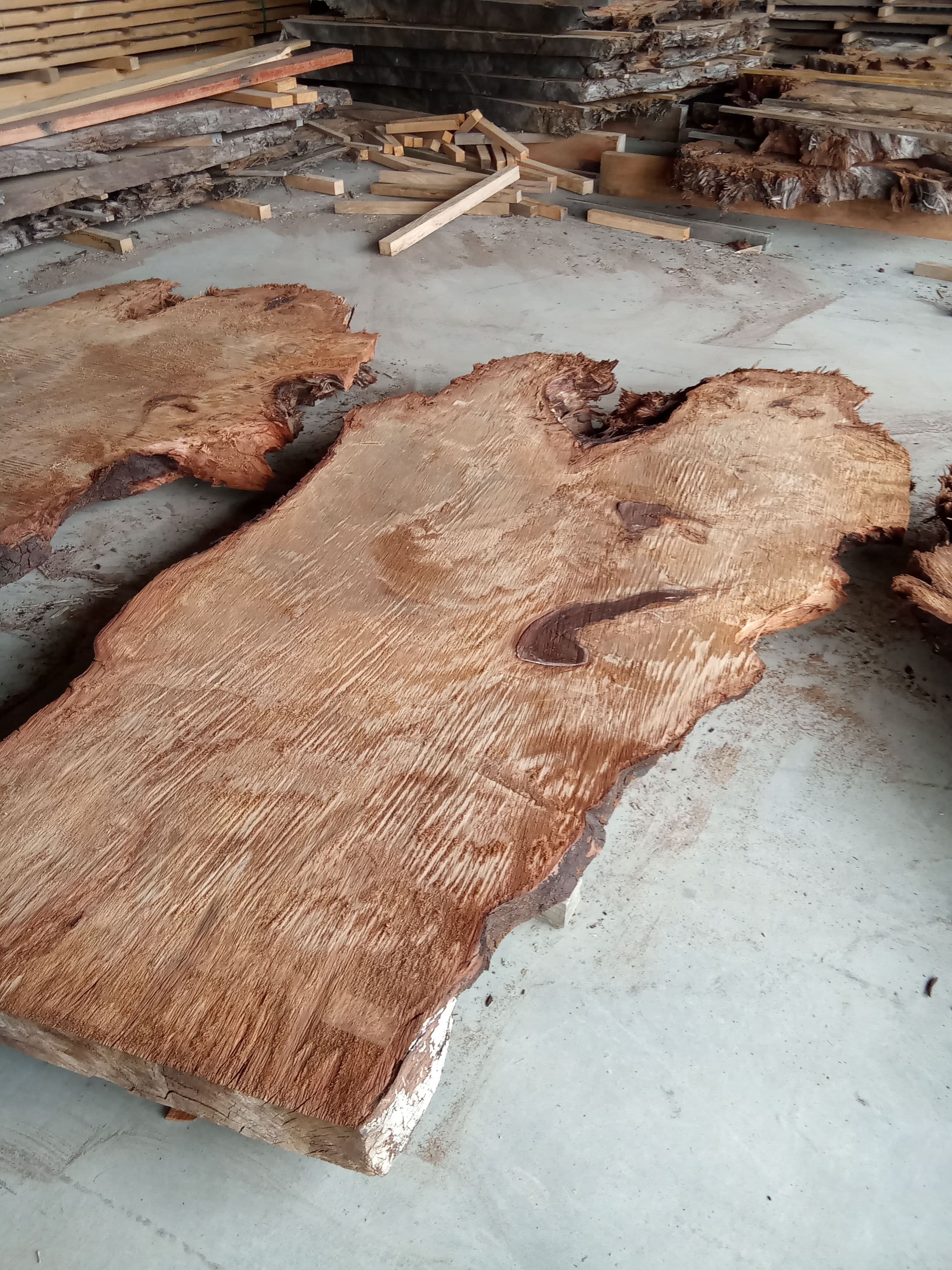 Kauri Slab #6 view 1