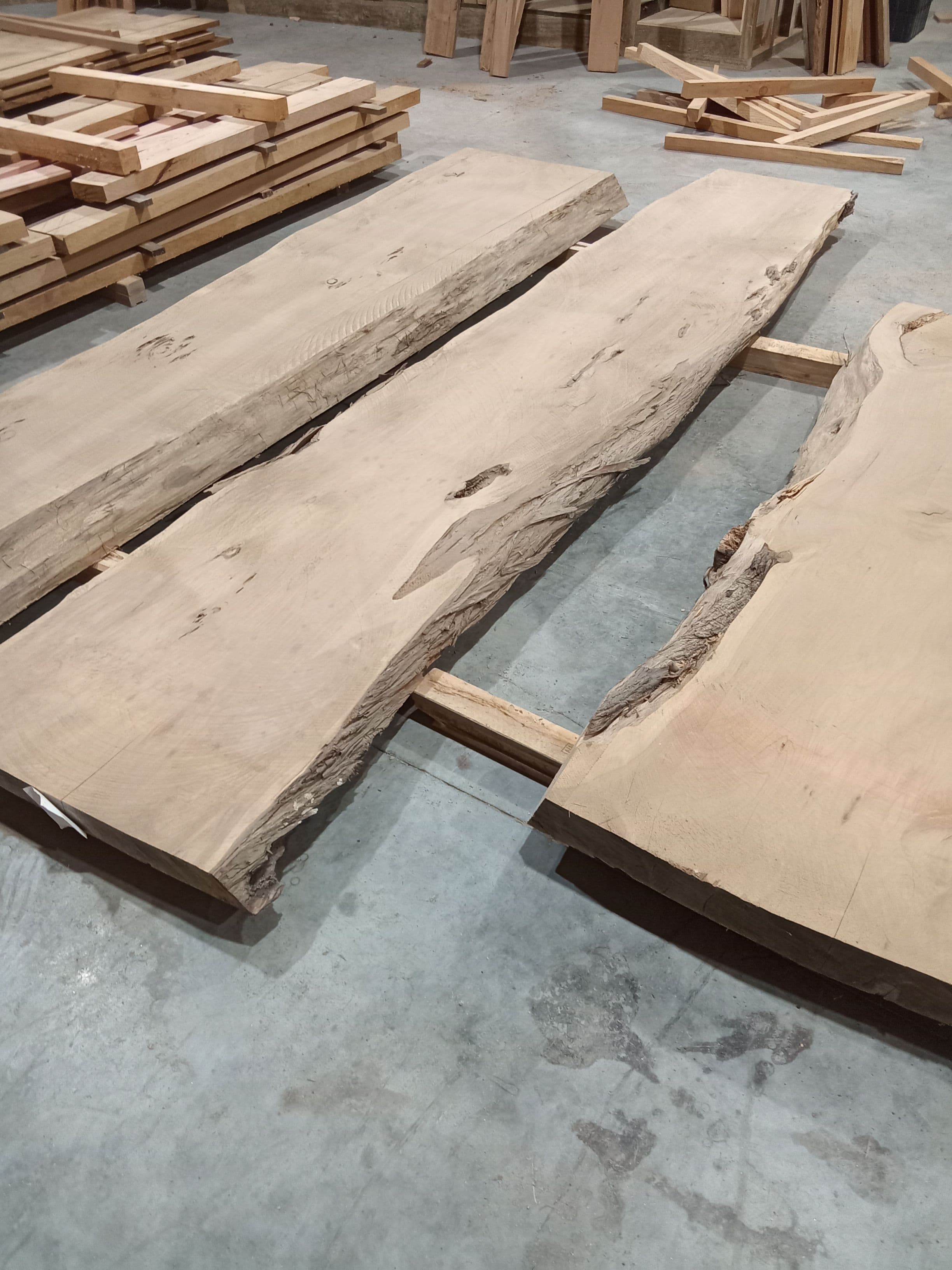 Macrocarpa Slab #37 view 1