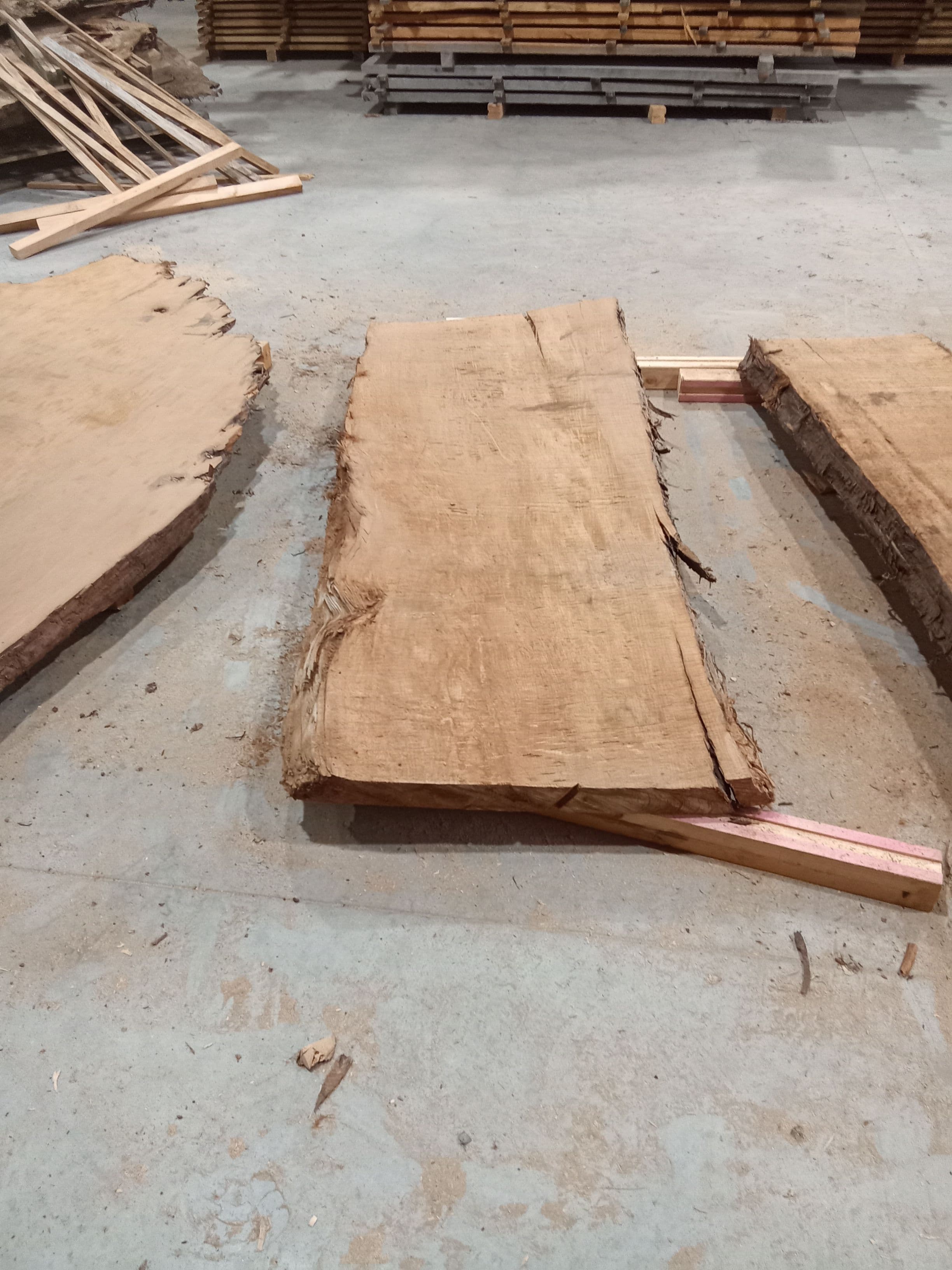 Kauri Slab #31