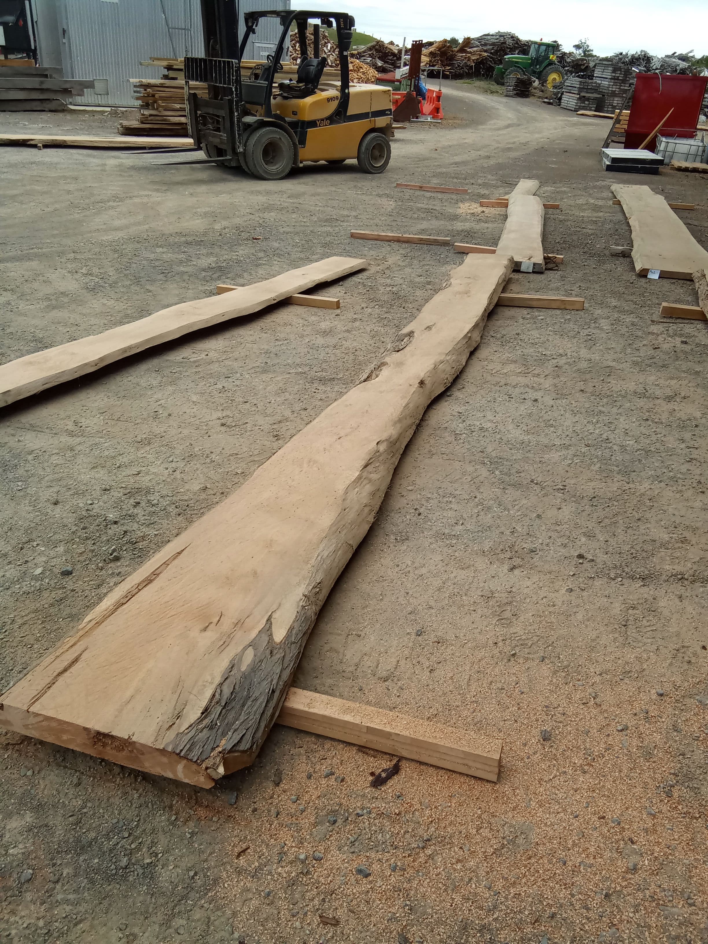 Macrocarpa Slab #3 view 1