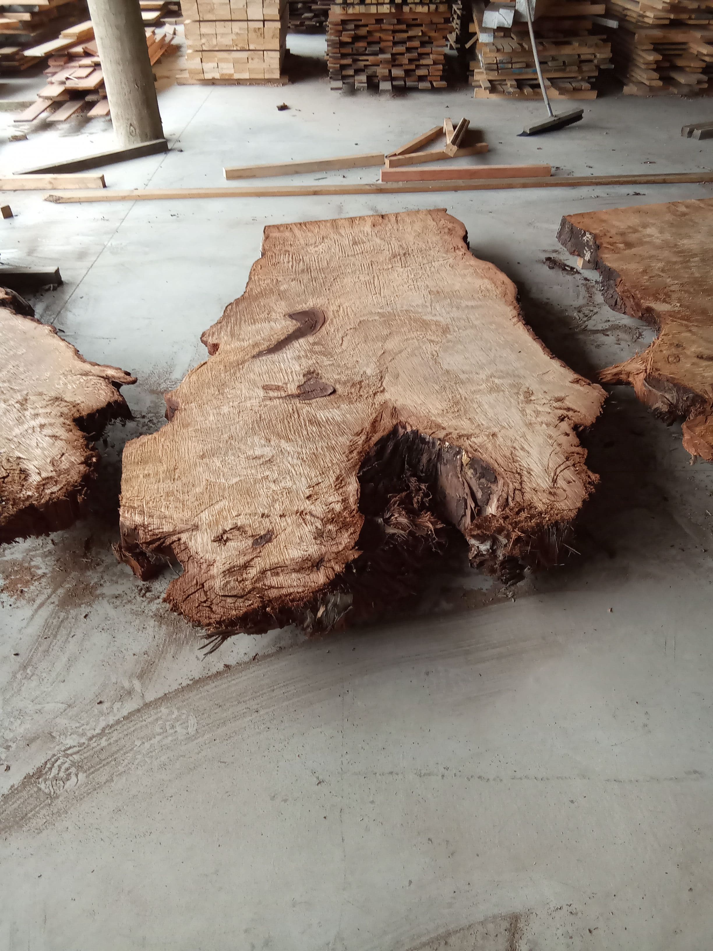 Kauri Slab #6 view 2