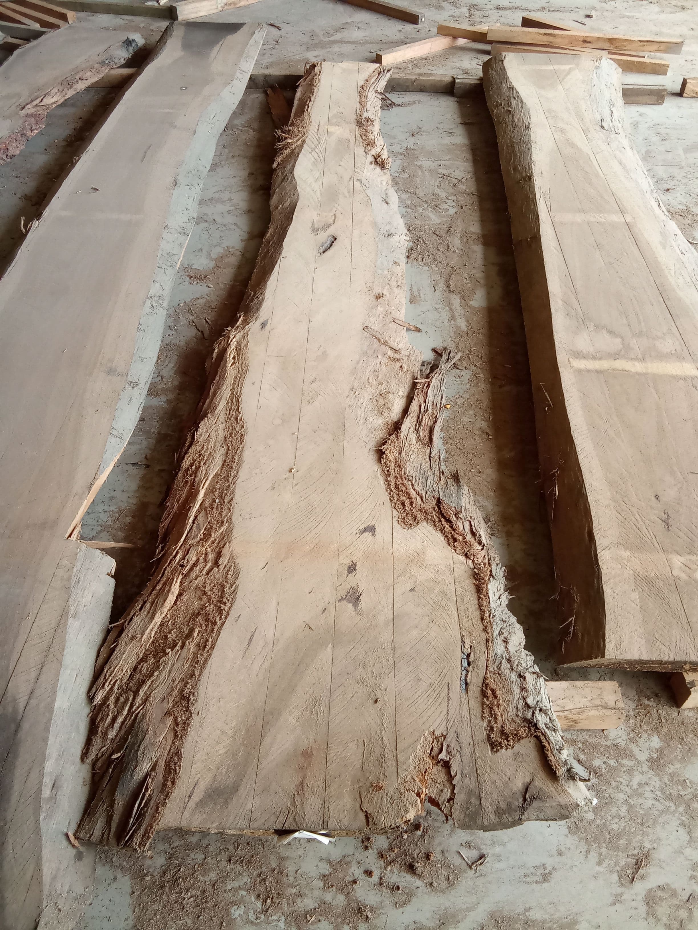 Blackbutt Eucalyptus Slab #25