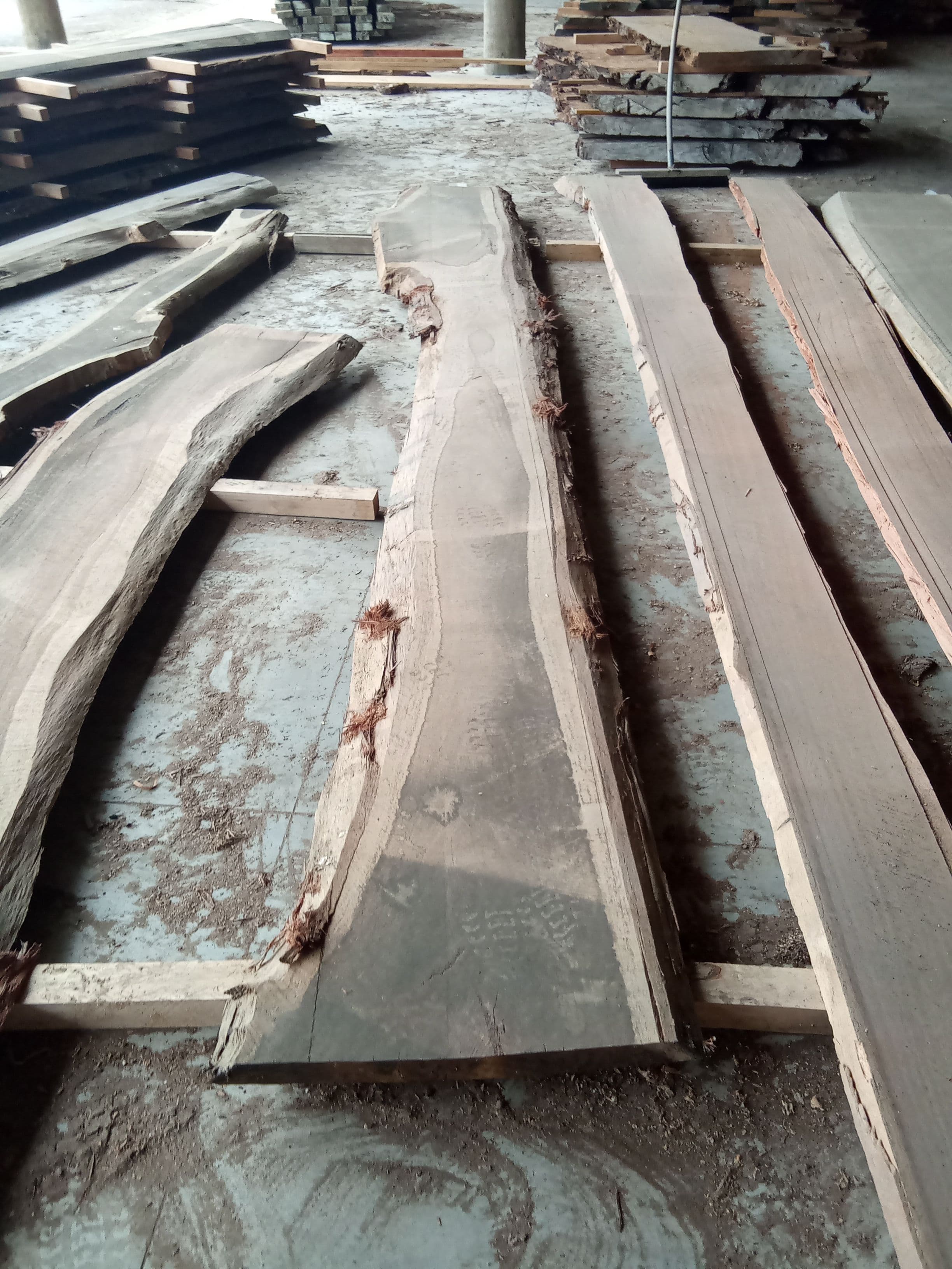 Blackbutt Eucalyptus Slab #17 view 2