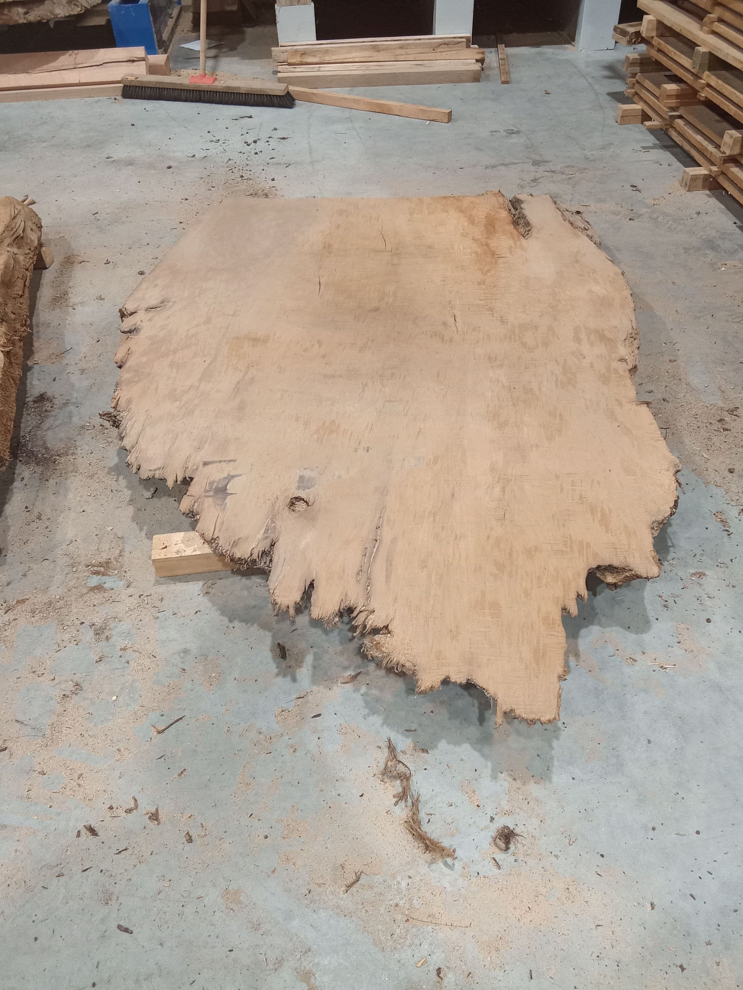 Kauri Slab #30 view 2