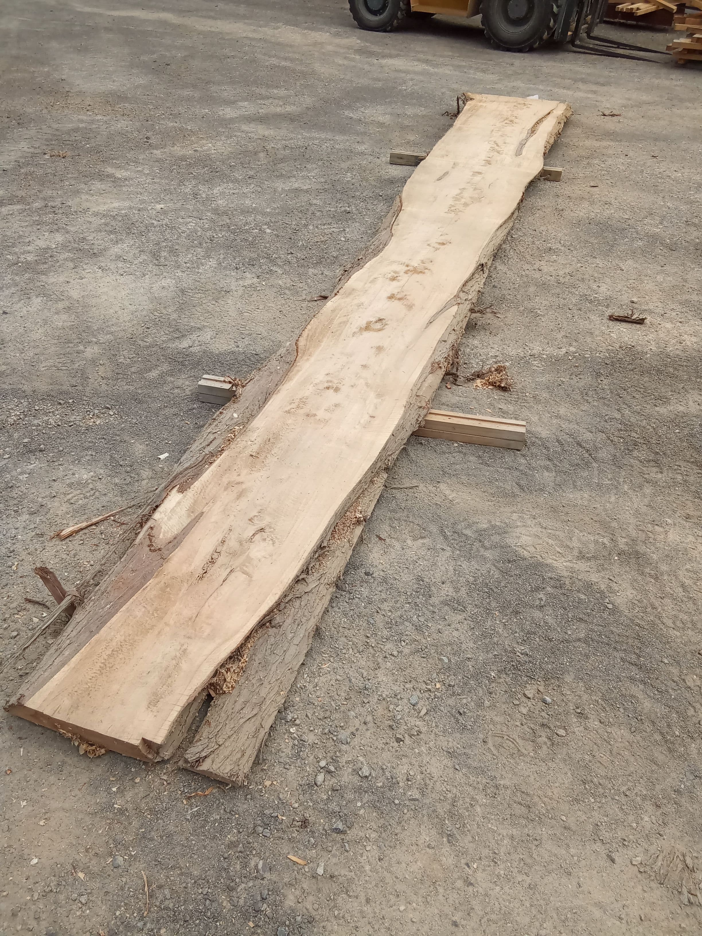 Macrocarpa Slab #9 view 1