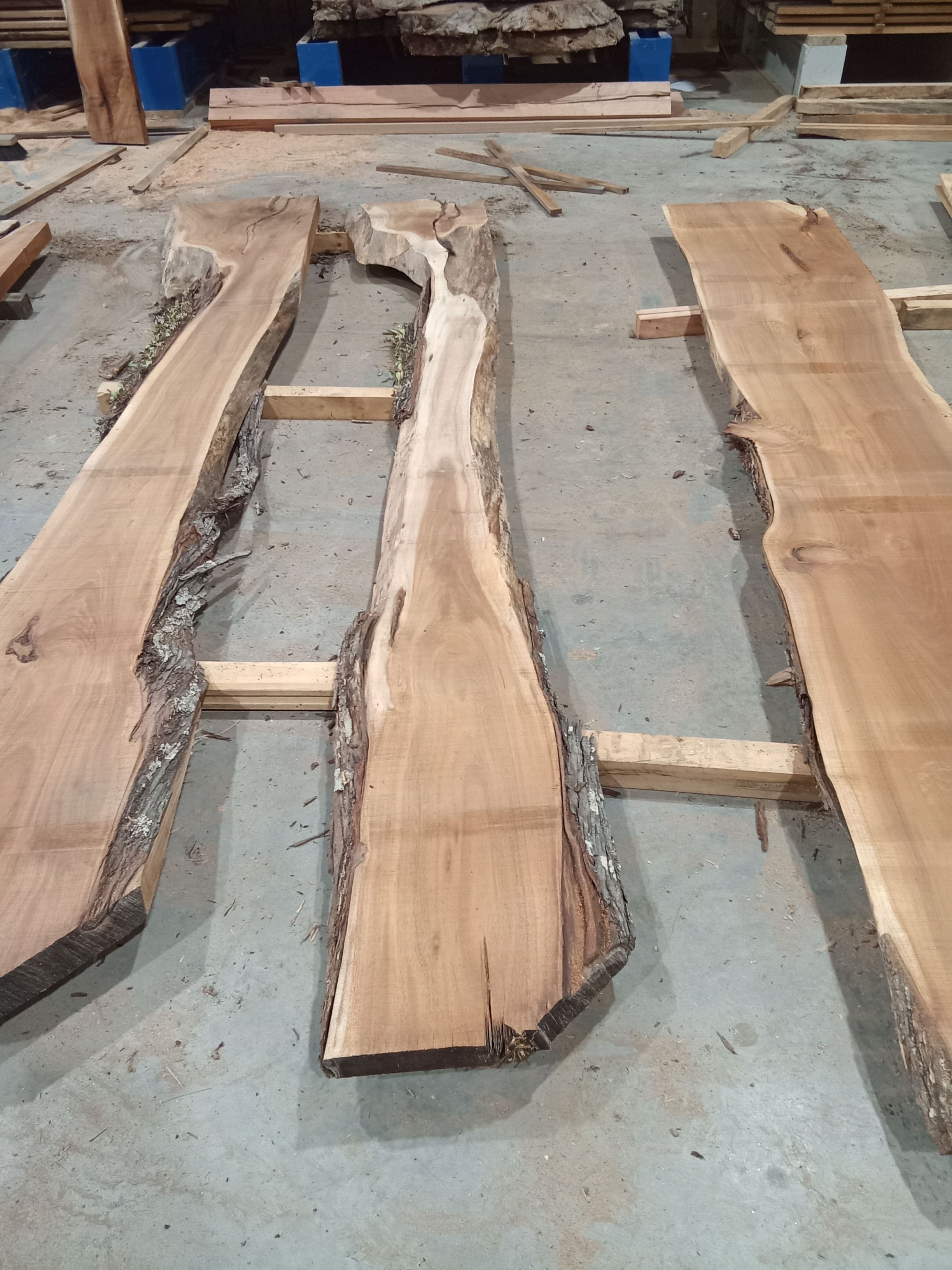 Blackwood Slab #1 view 2