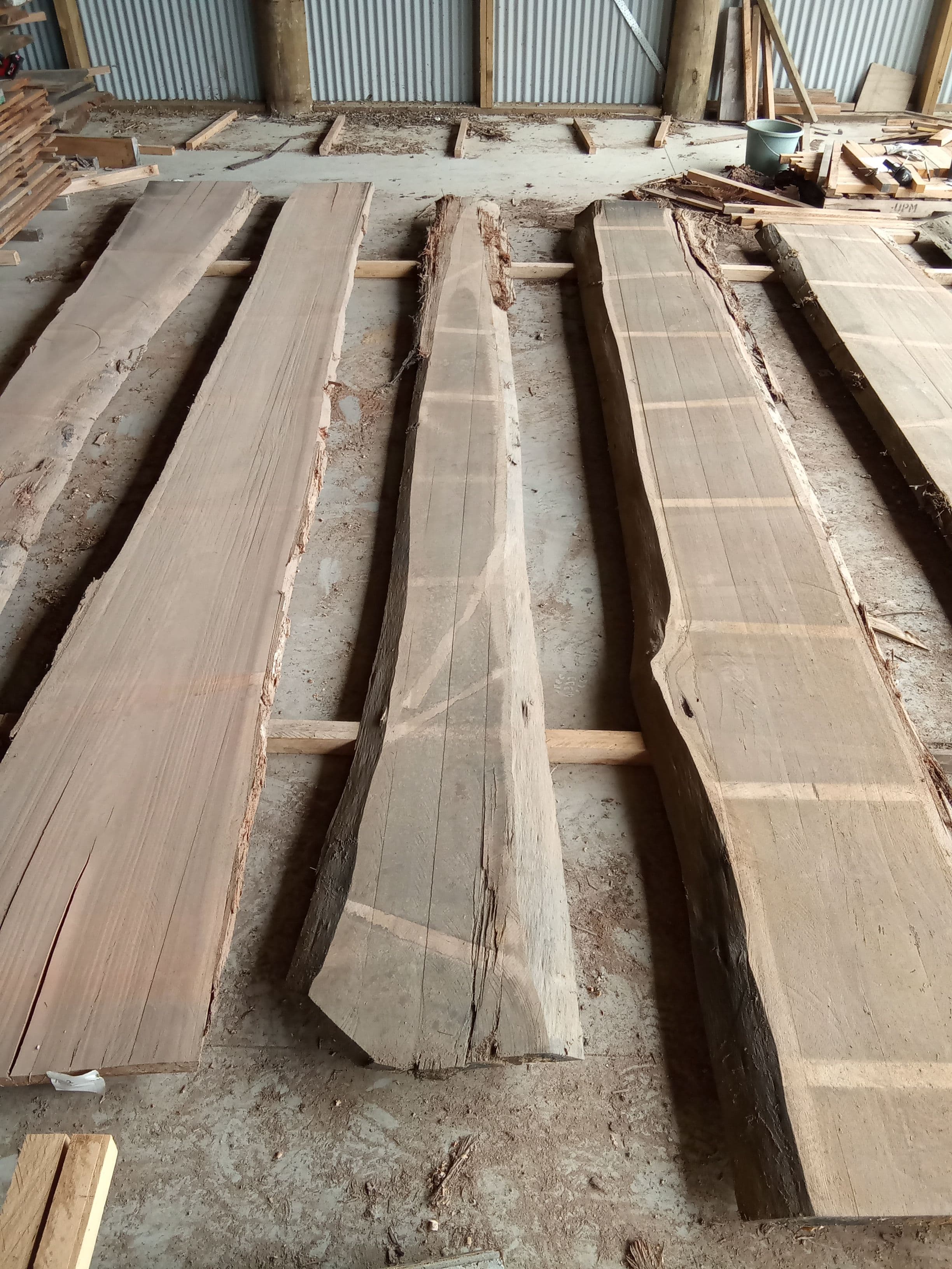 Blackbutt Eucalyptus Slab #8