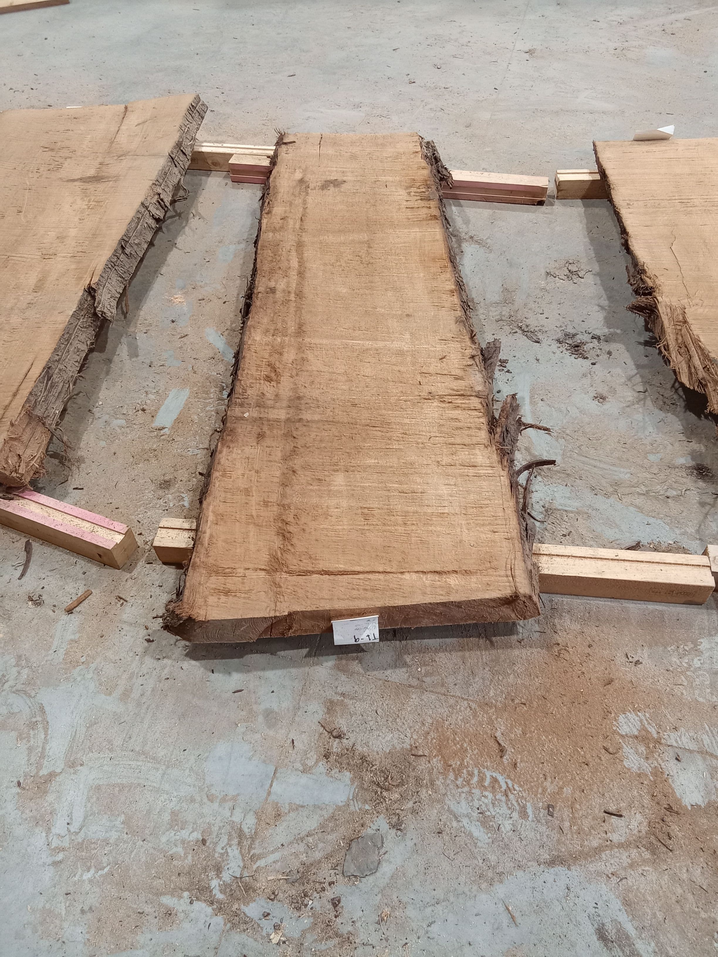 Kauri Slab #32