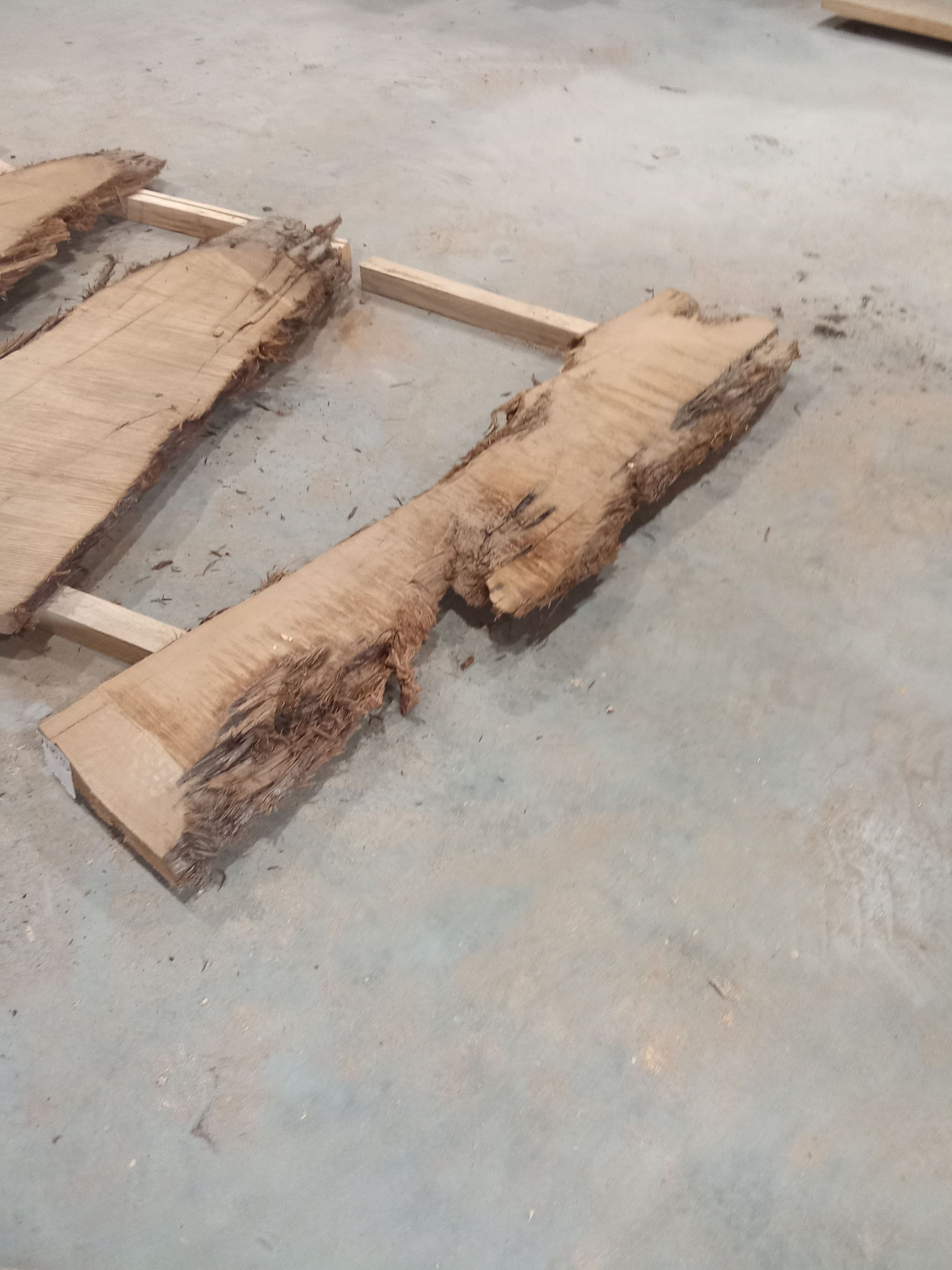 Kauri Slab #35 view 1