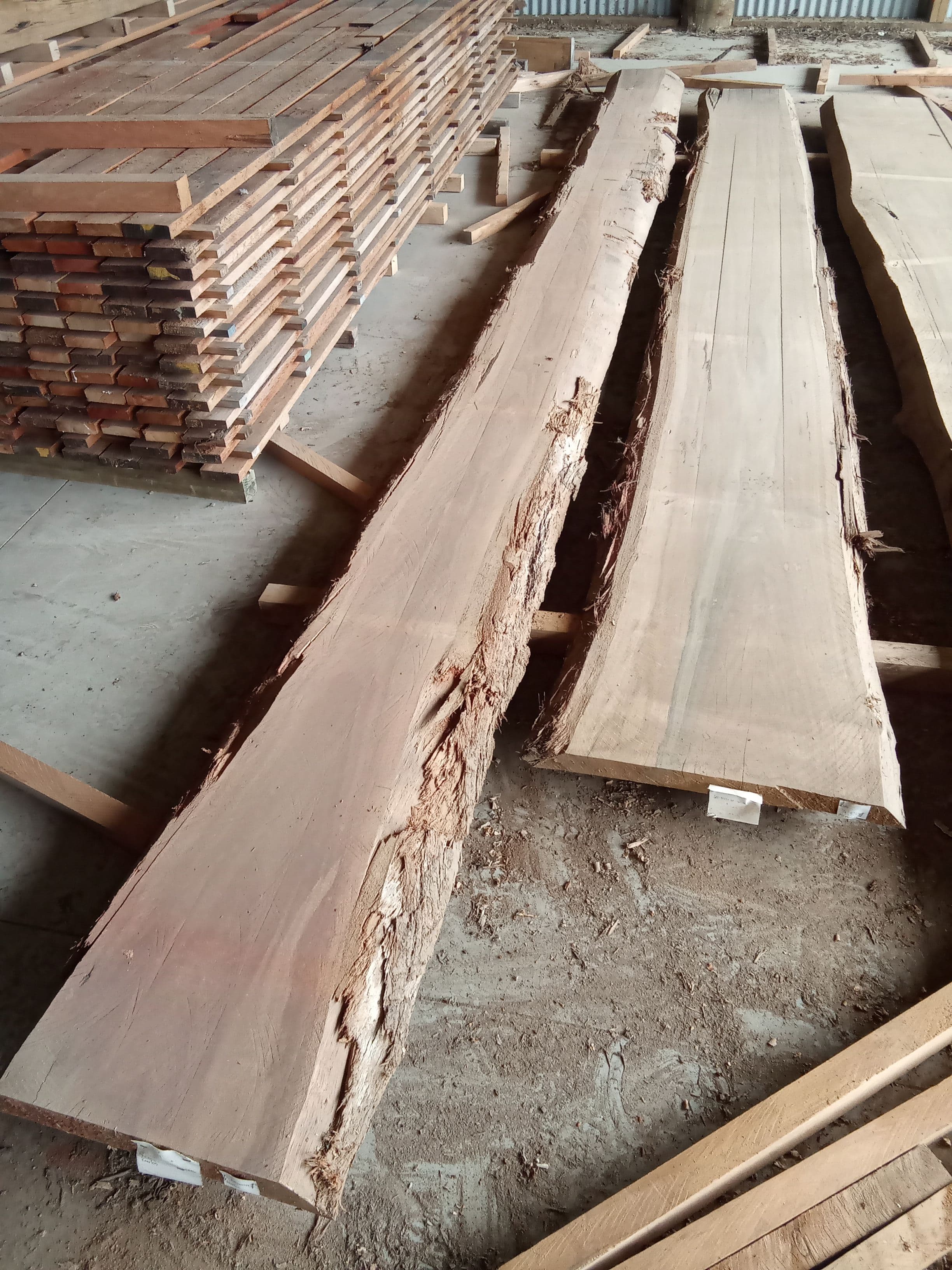 Saligna Eucalyptus Slab #12 view 1