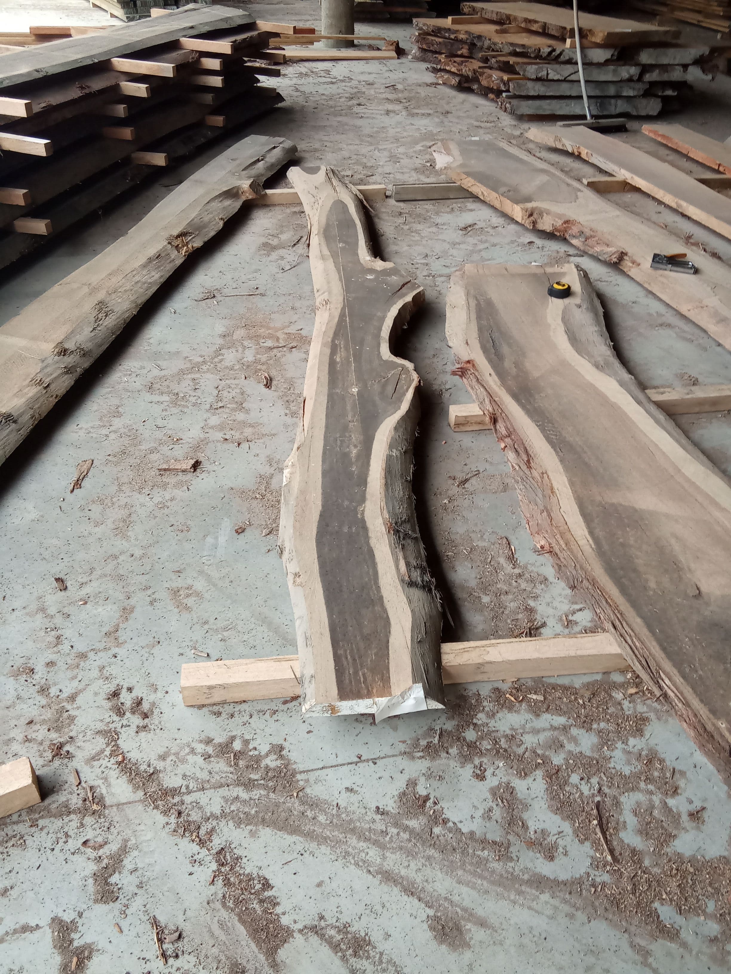 Blackbutt Eucalyptus Slab #19 view 2