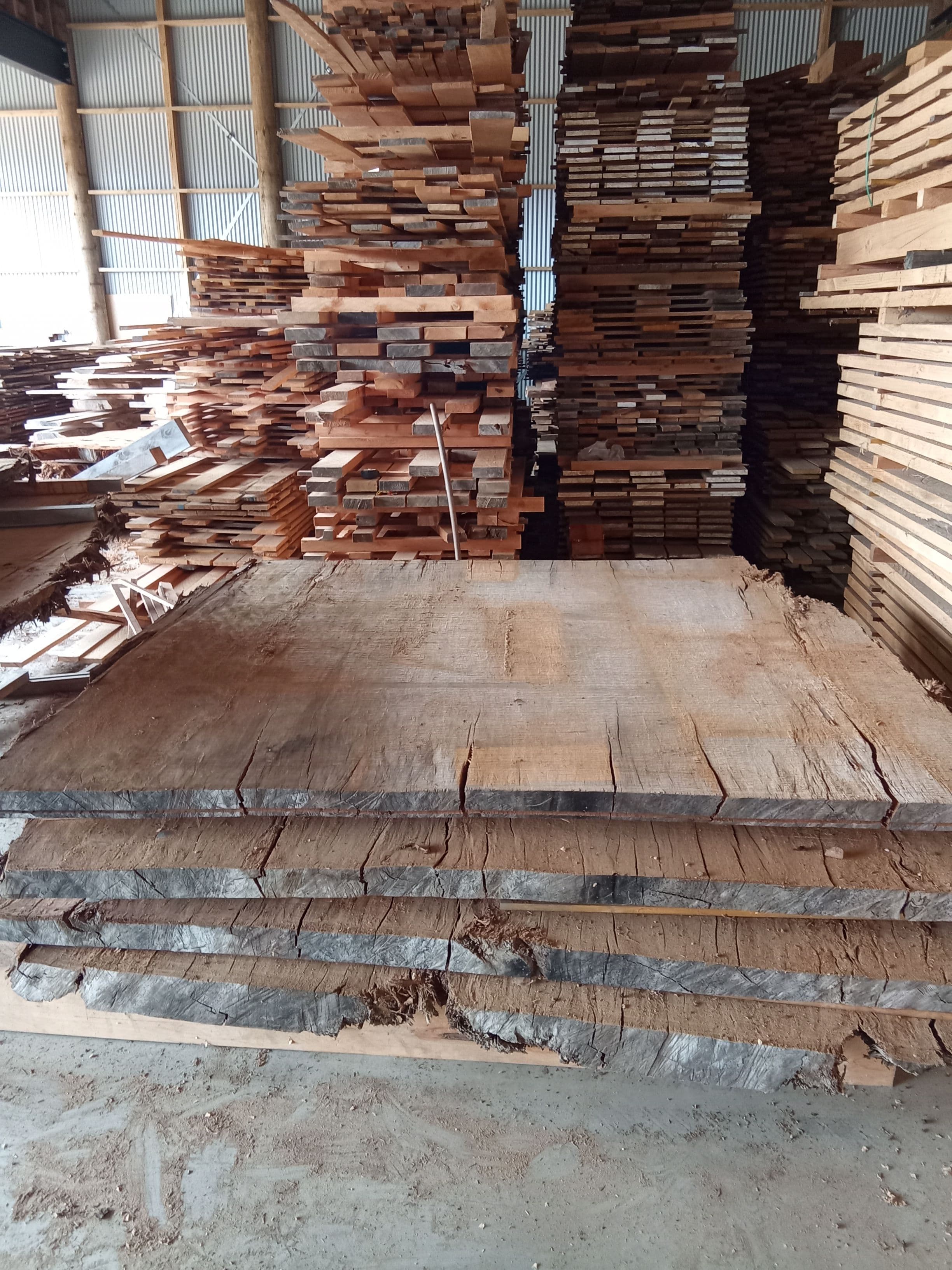 Kauri Slab #16 view 2
